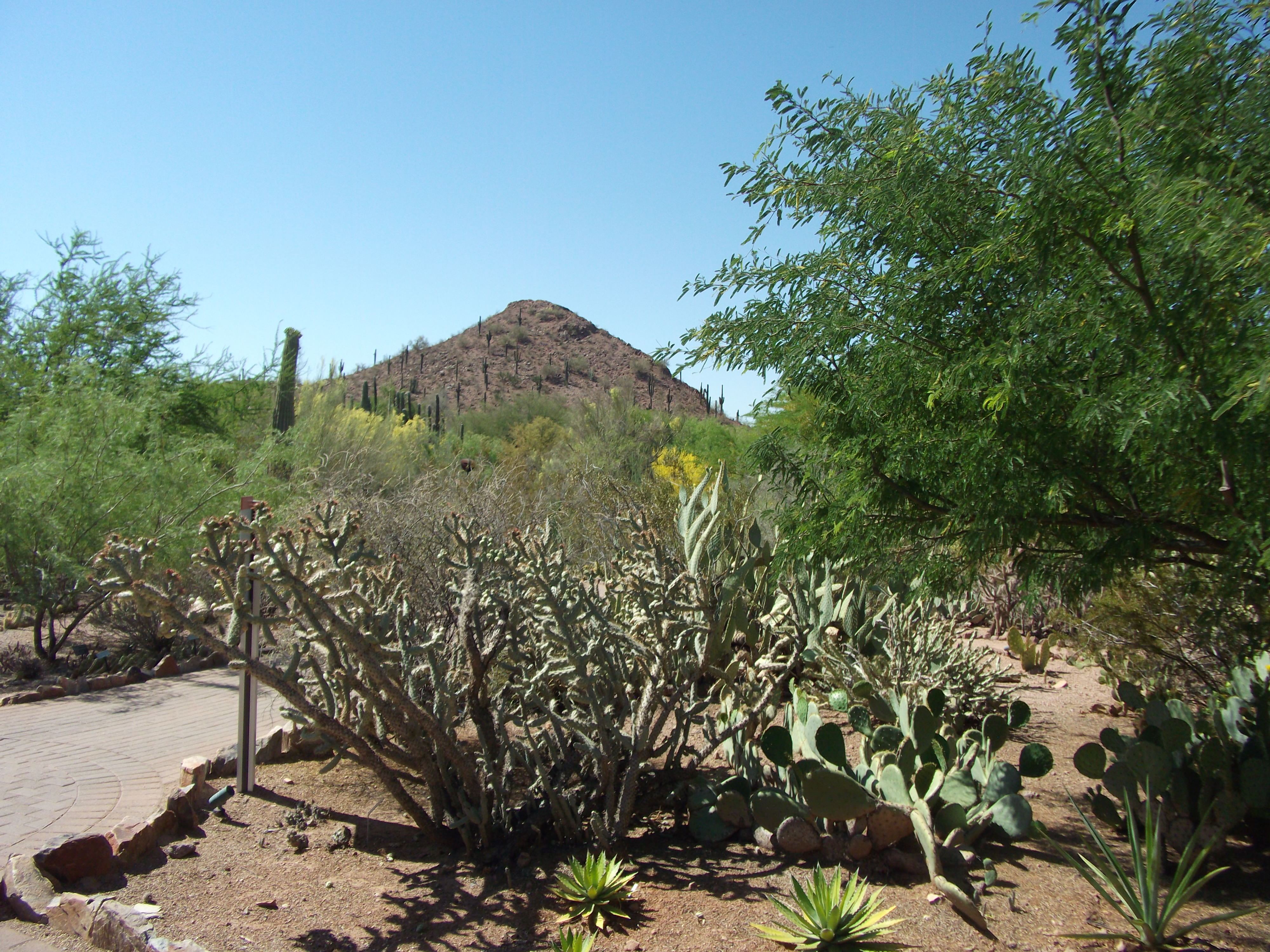 2012_04_28_botanical_sk_0034.jpg (large)