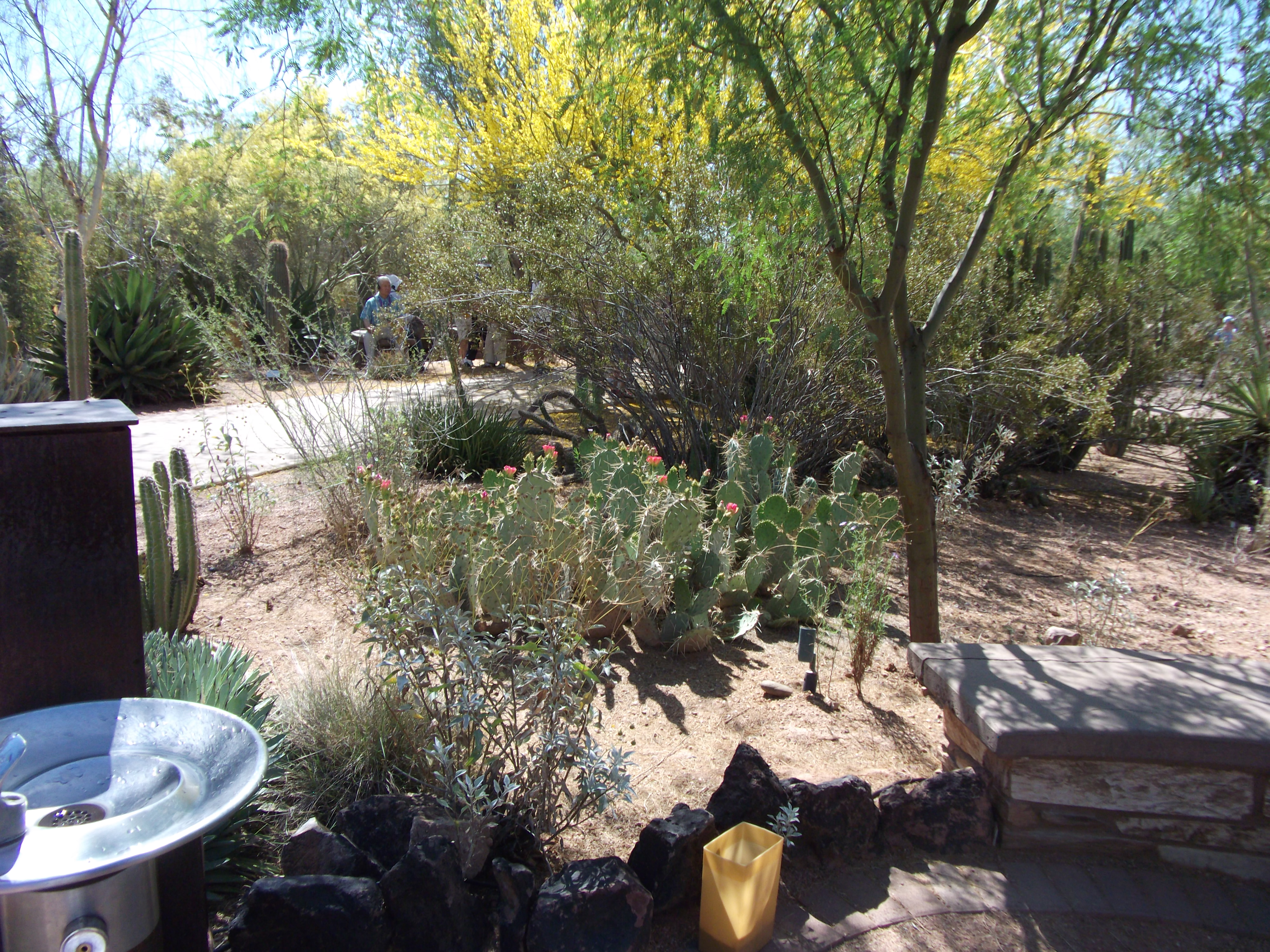 2012_04_28_botanical_sk_0050.jpg (large)