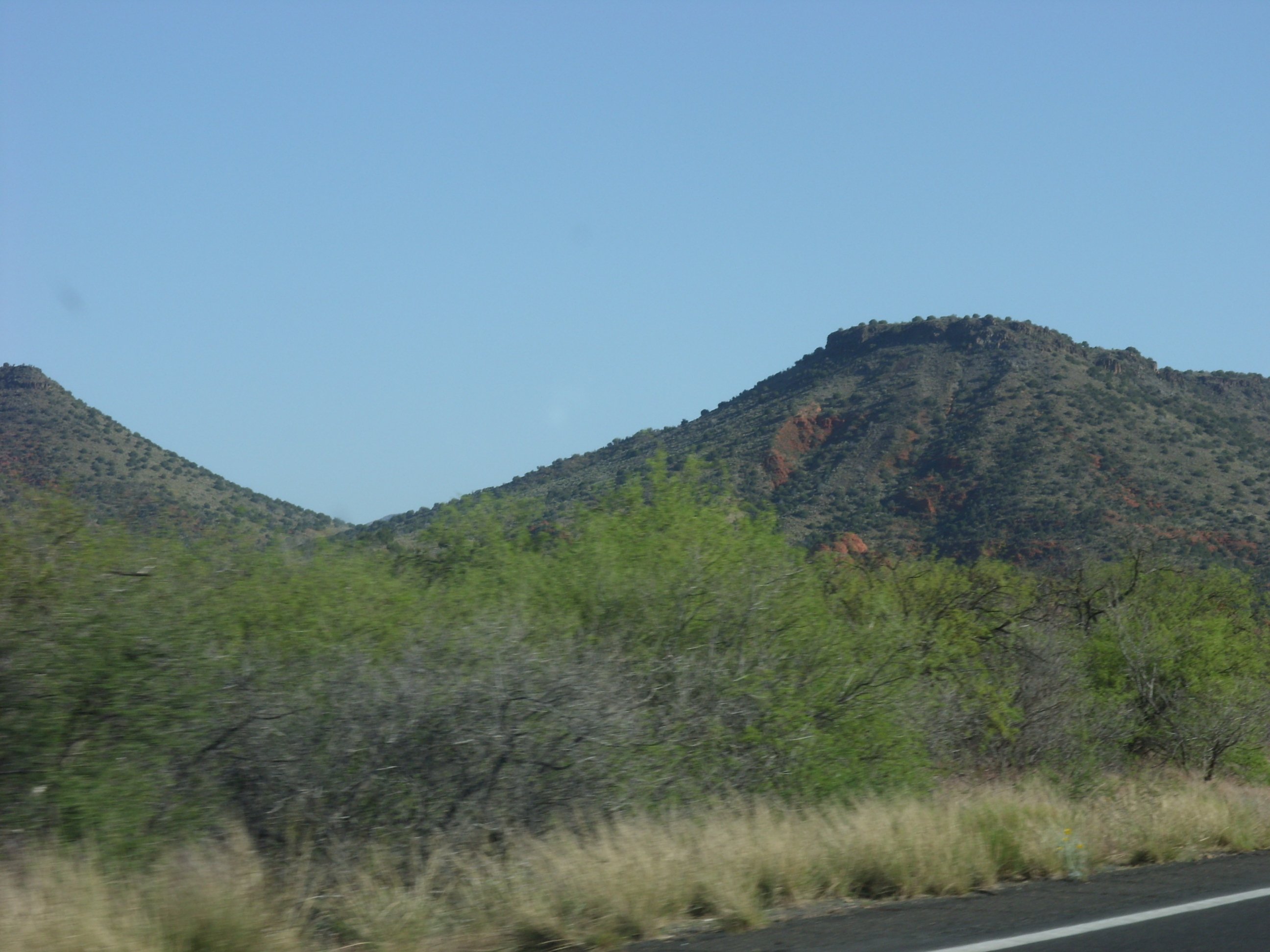 2012_04_28_botanical_sk_0053.jpg (large)