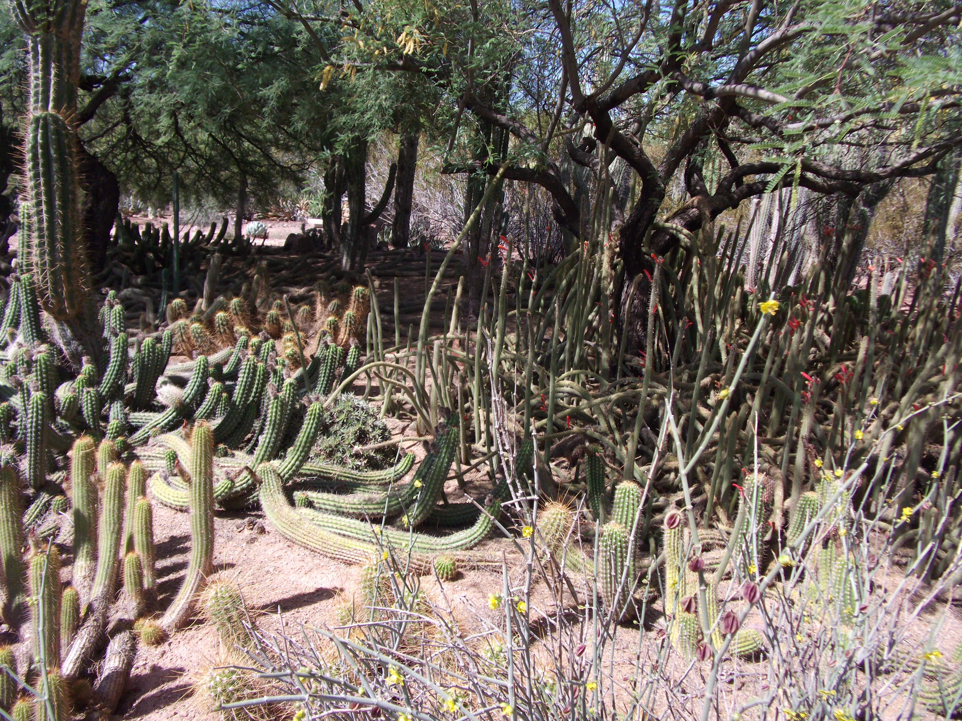 2012_04_28_phxa_012.jpg (large)