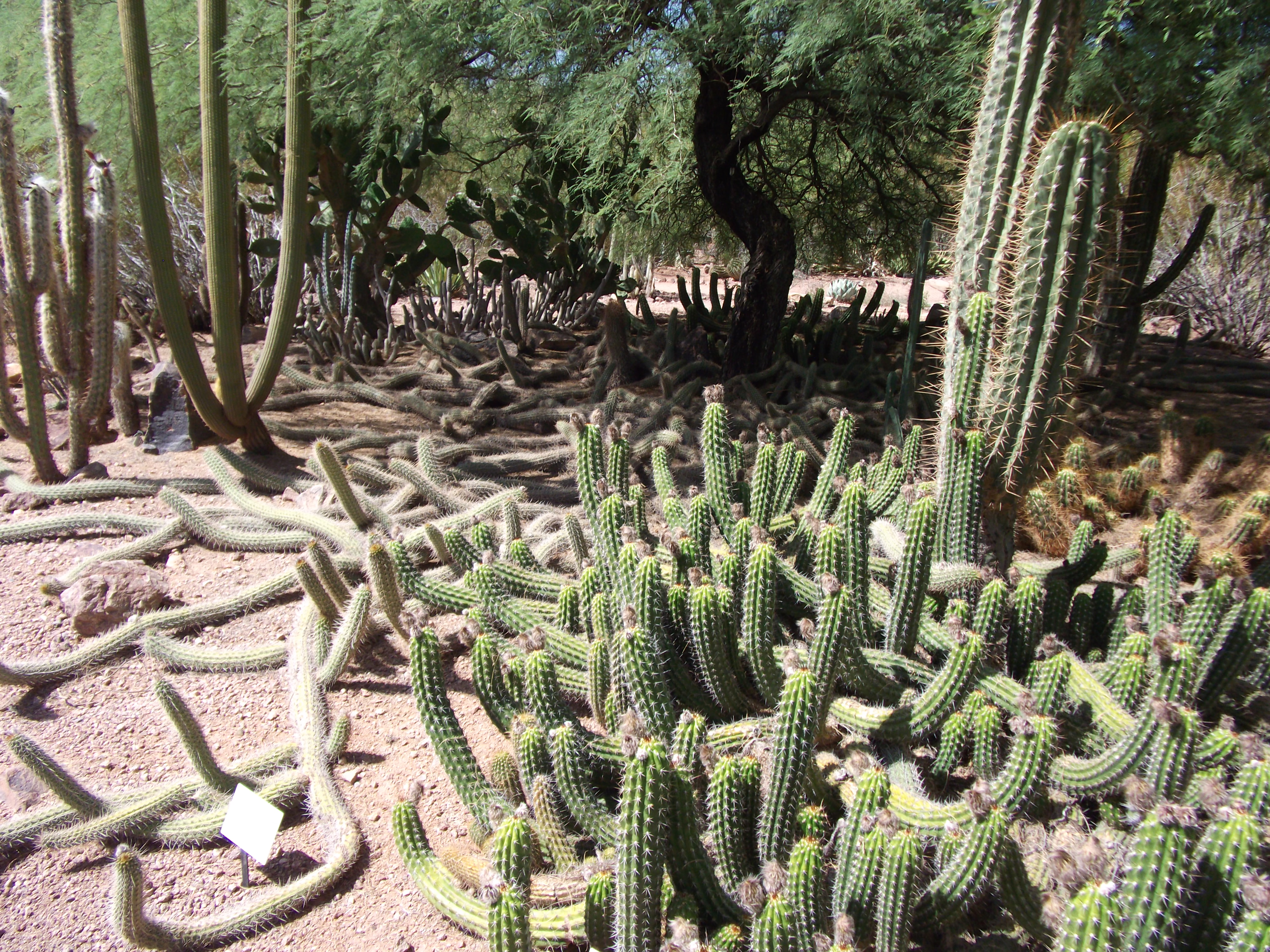 2012_04_28_phxa_014.jpg (large)