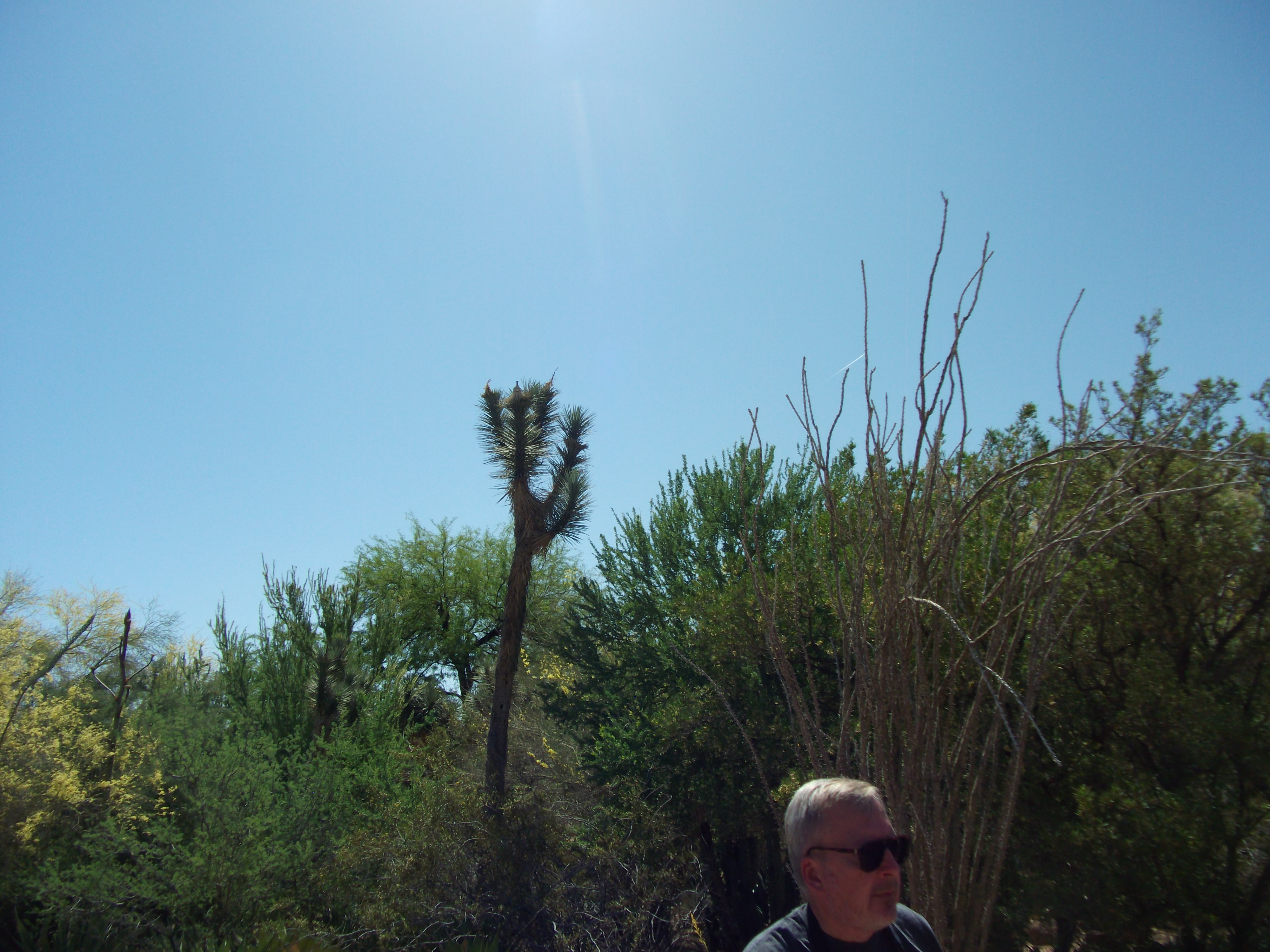 Sun overhead at Dennis head