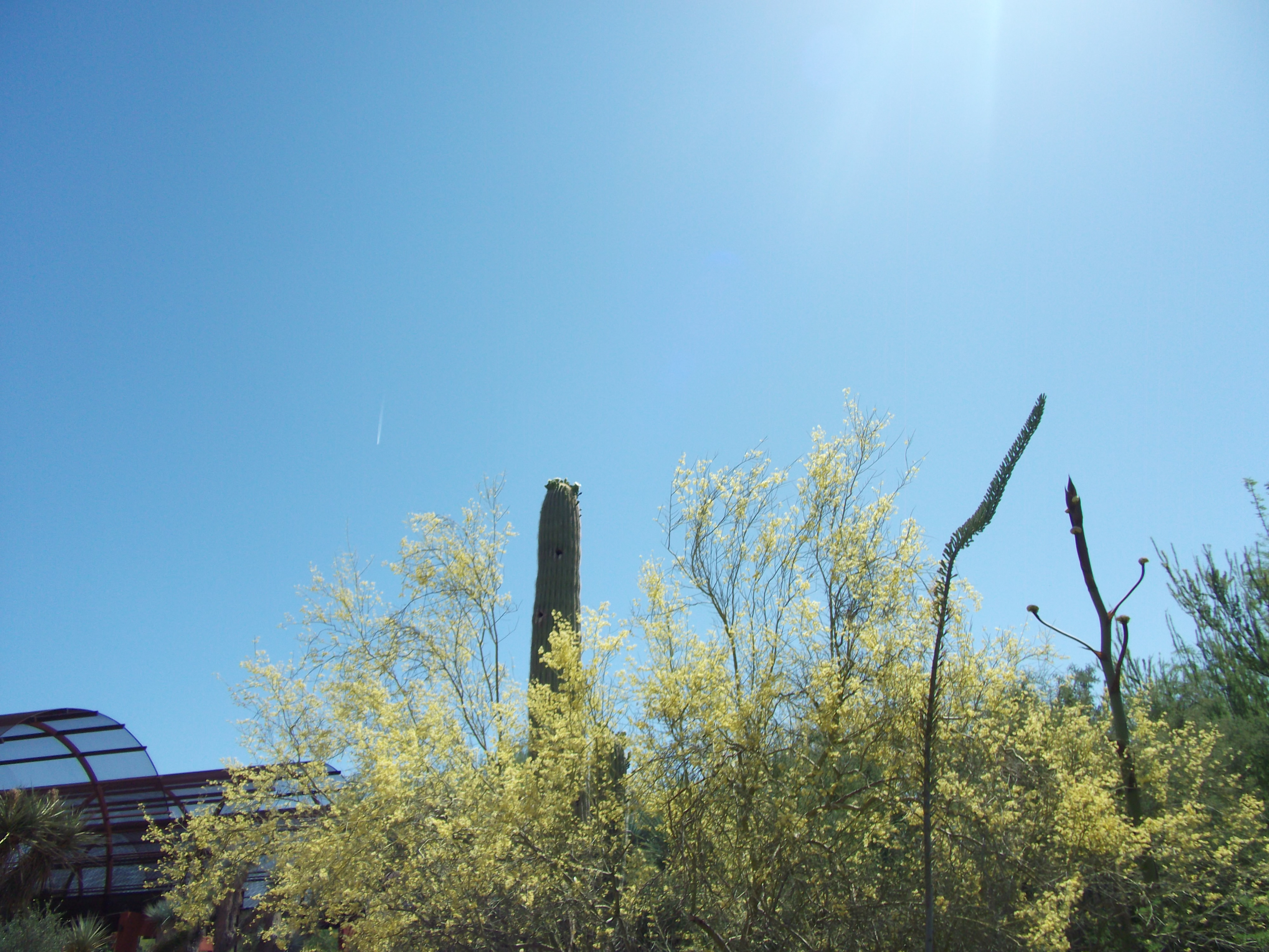 2012_04_28_phxa_026.jpg (large)