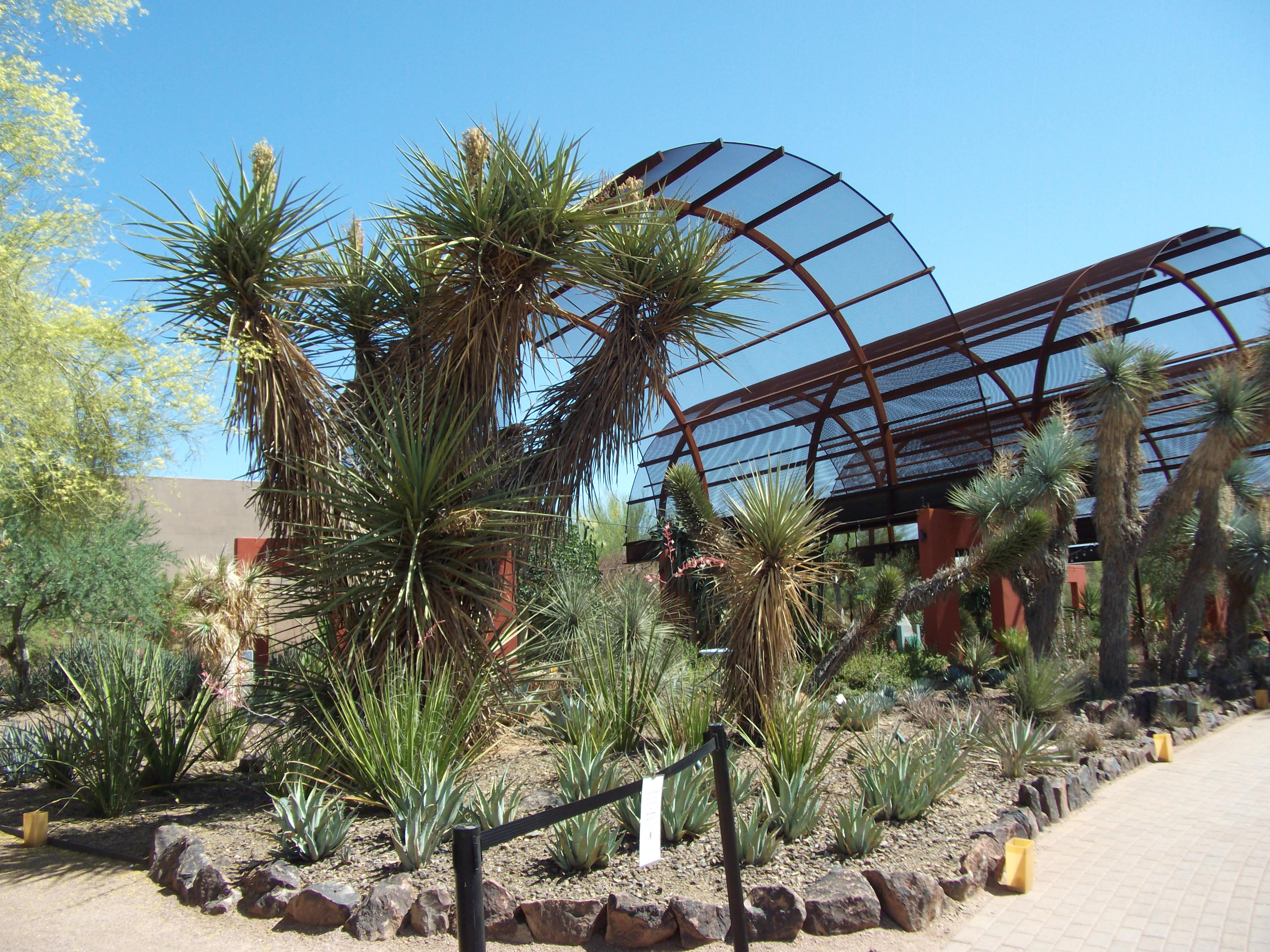 2012_04_28_phxa_032.jpg (large)