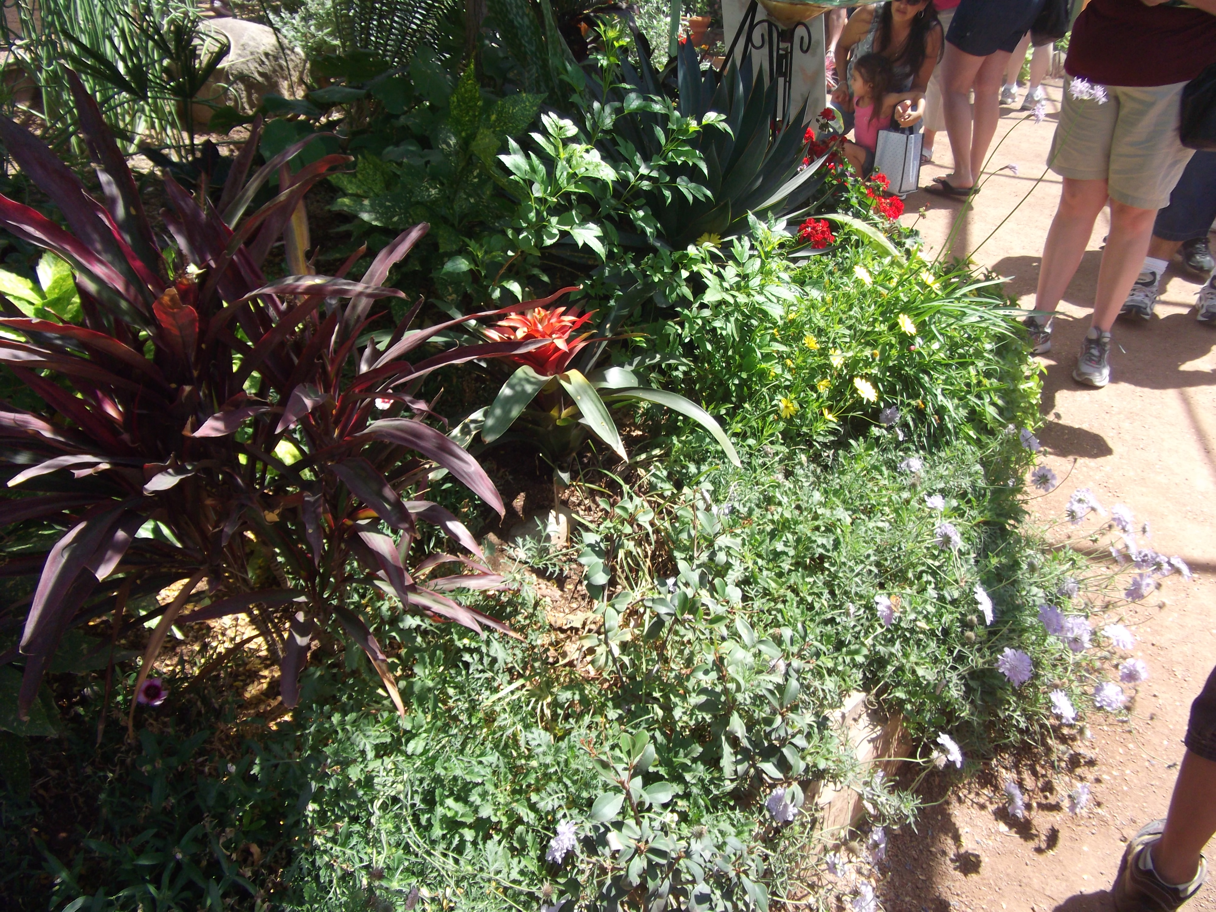 2012_04_28_phxa_044.jpg (large)