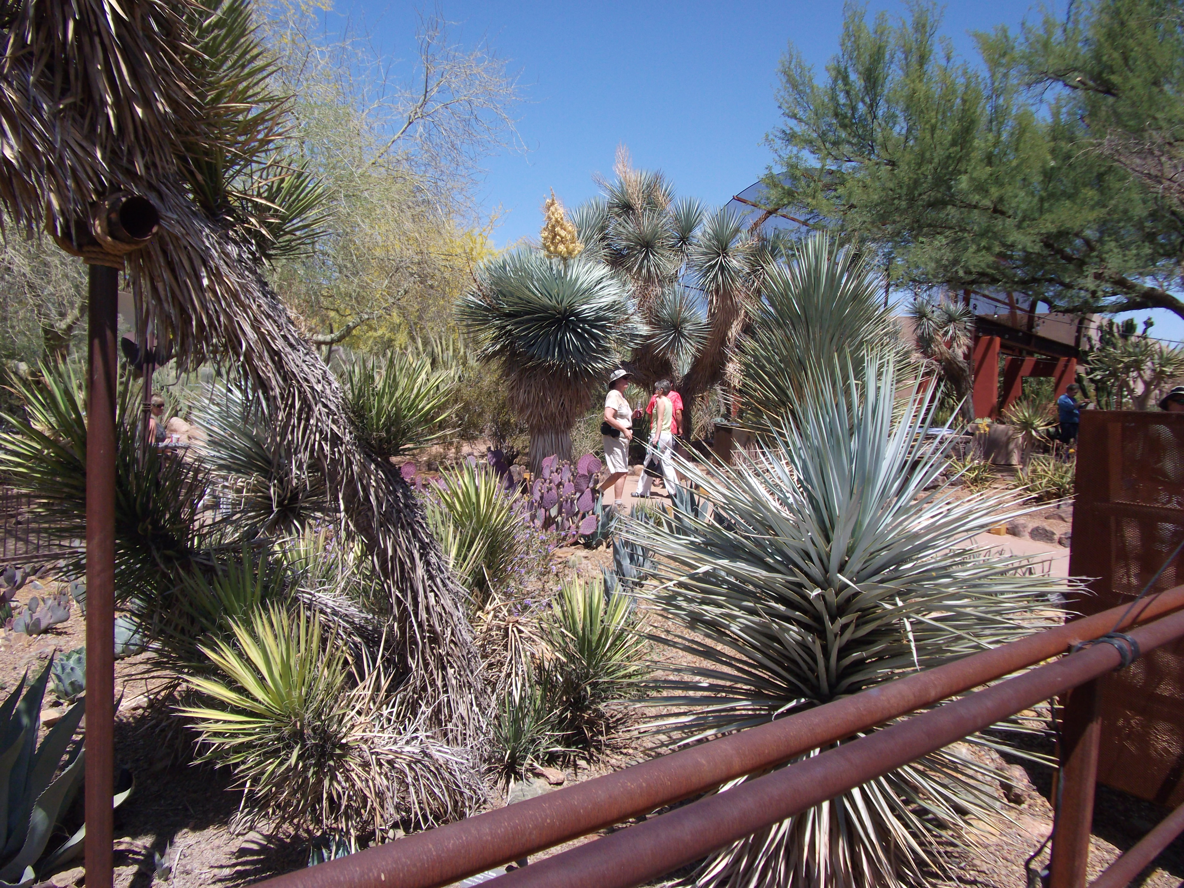 A tableau of arid planets