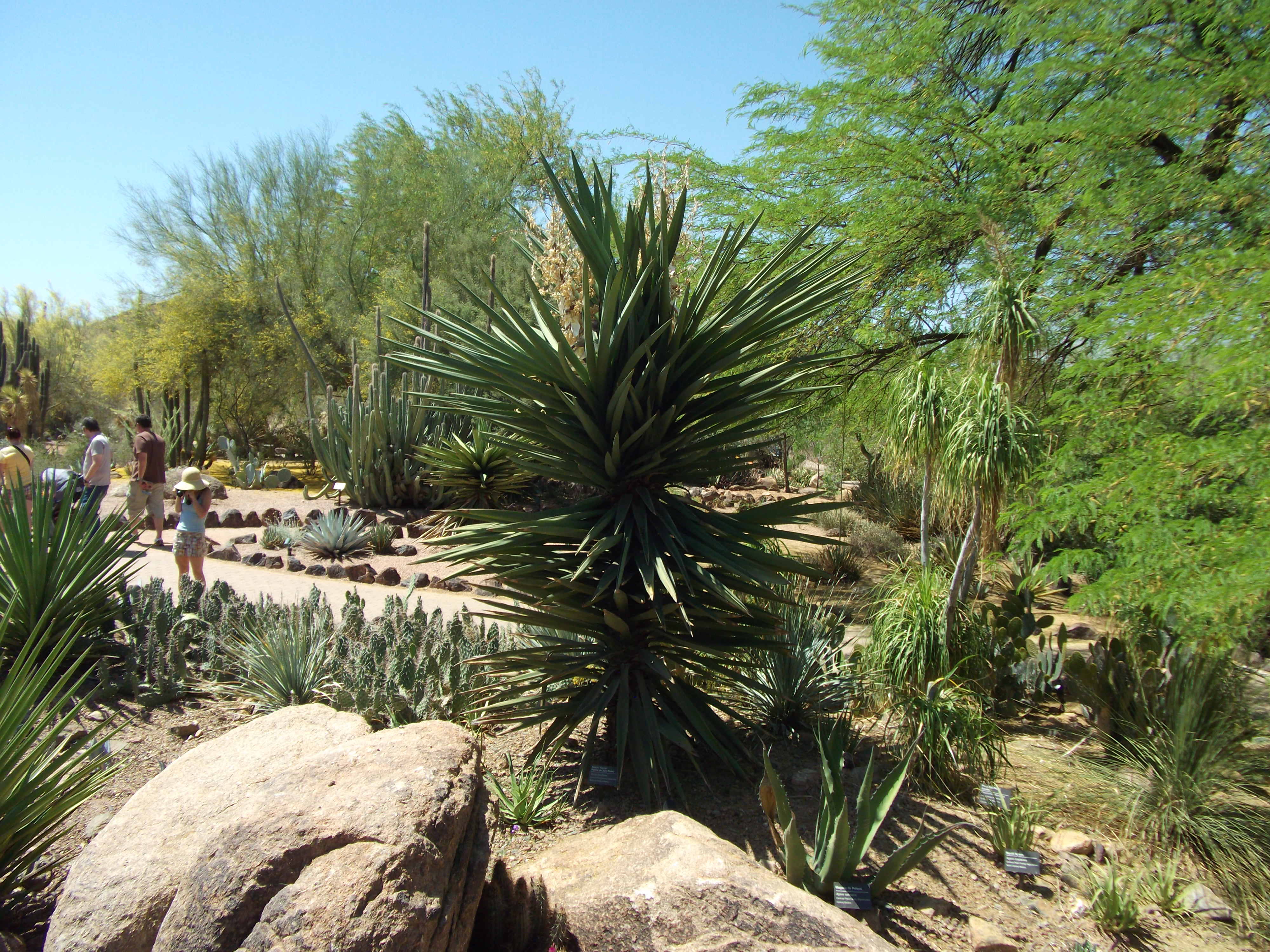 2012_04_28_phxa_079.jpg (large)