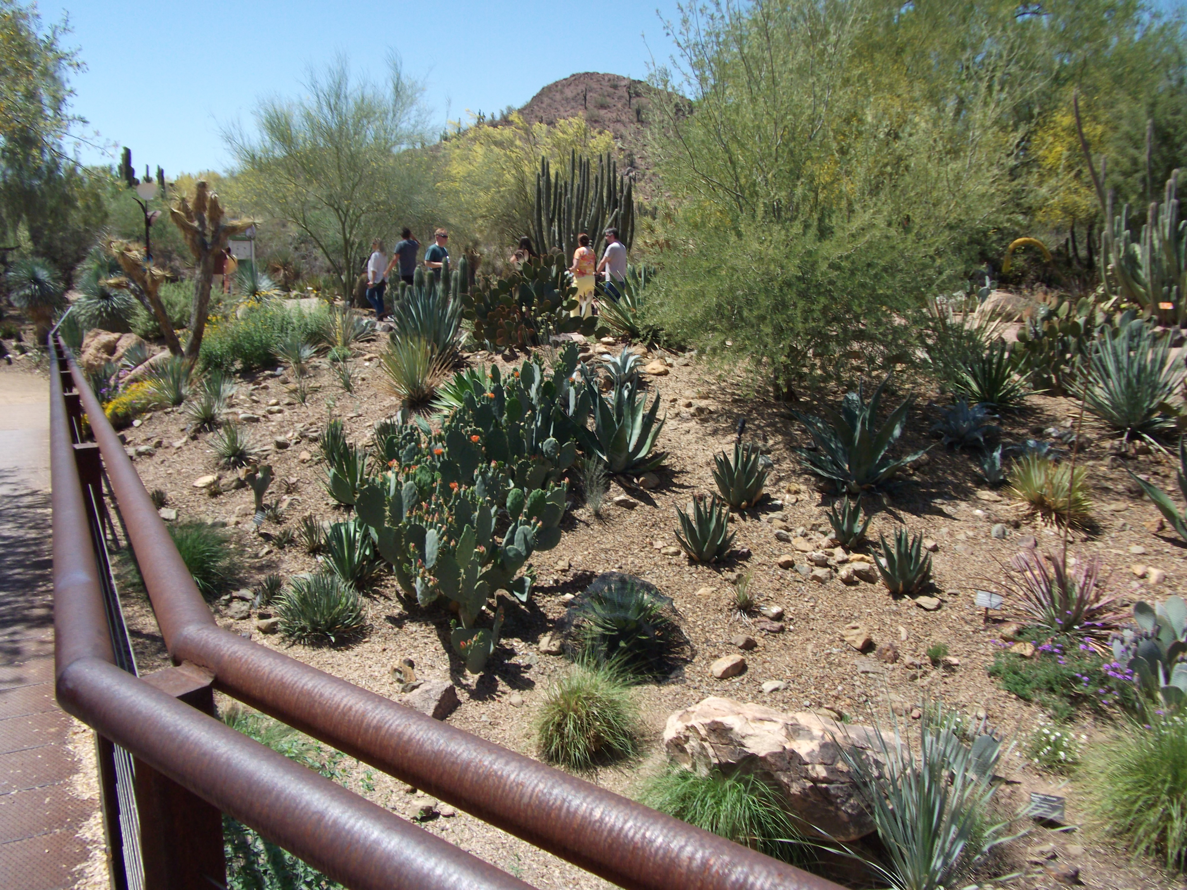 2012_04_28_phxa_080.jpg (large)