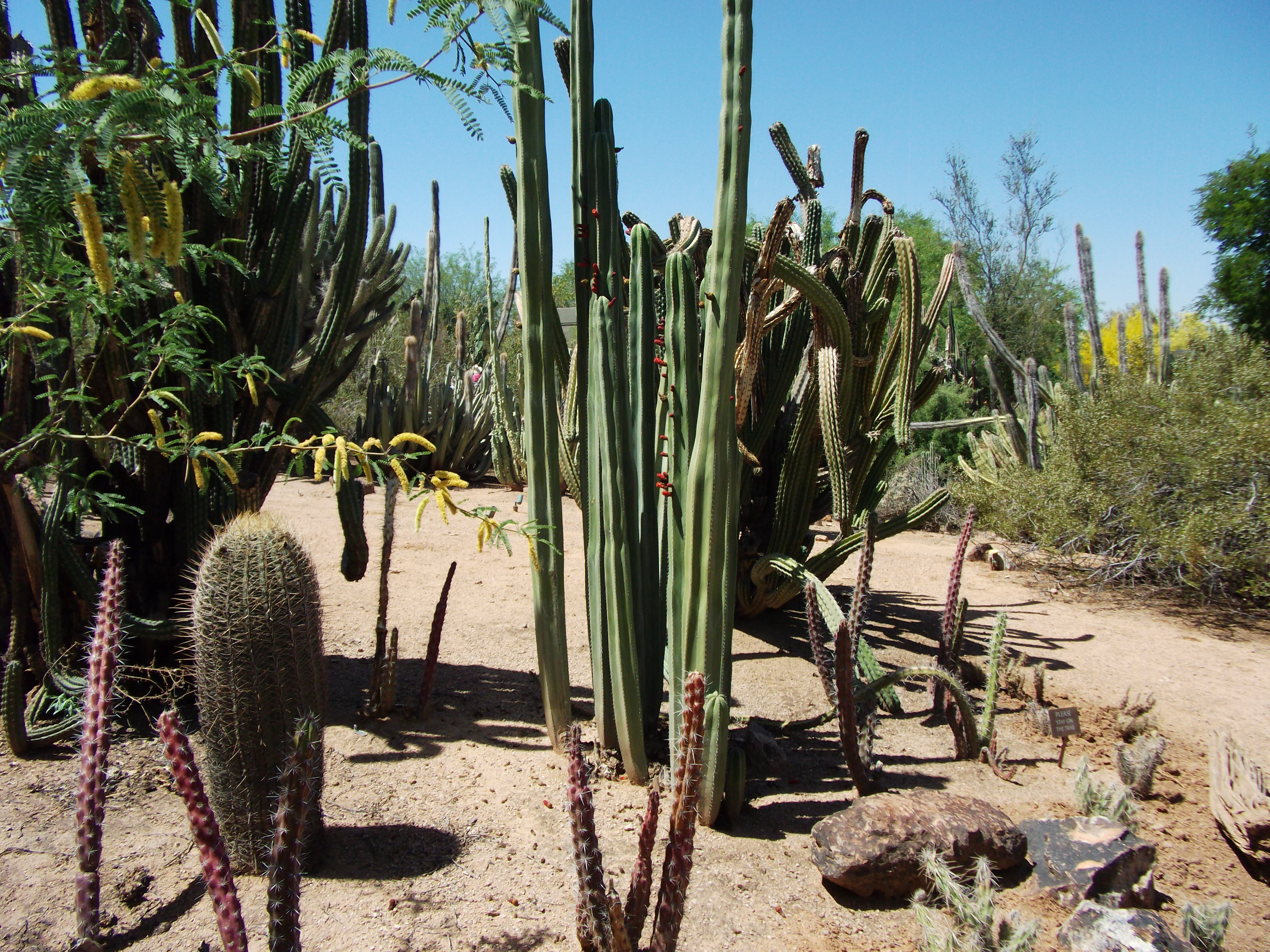 2012_04_28_phxa_105.jpg (large)