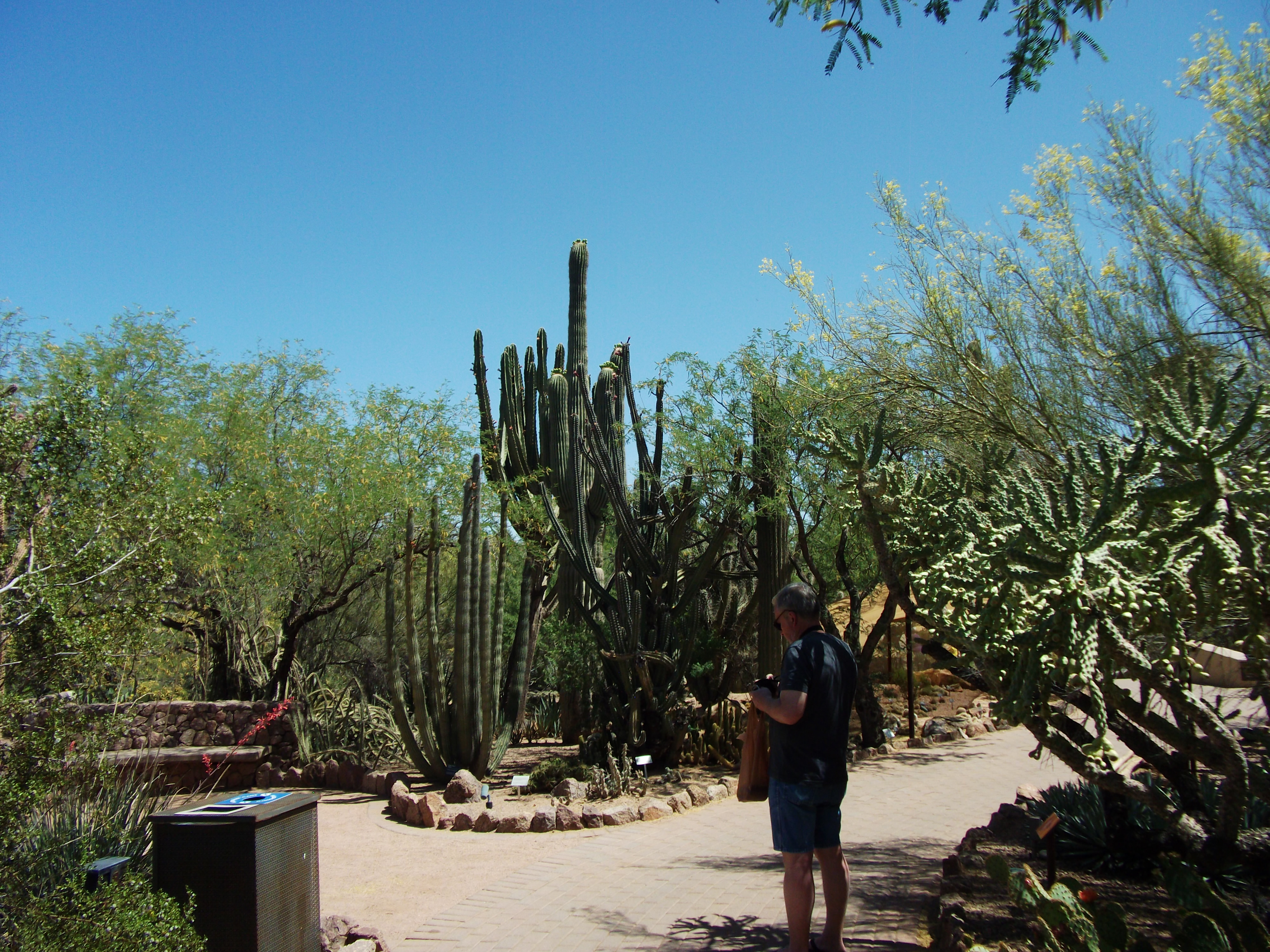 2012_04_28_phxa_114.jpg (large)