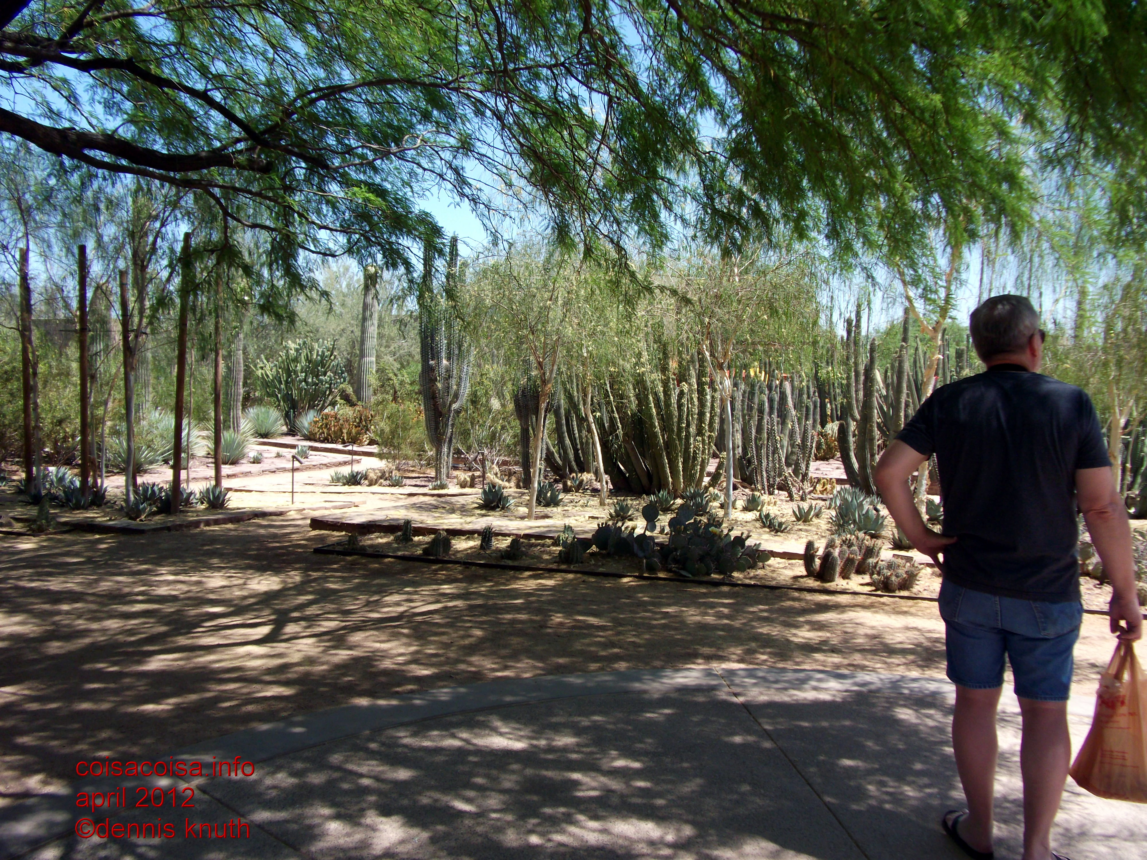 Dennis Knuth is the pathway shade of the Botanical Gardens