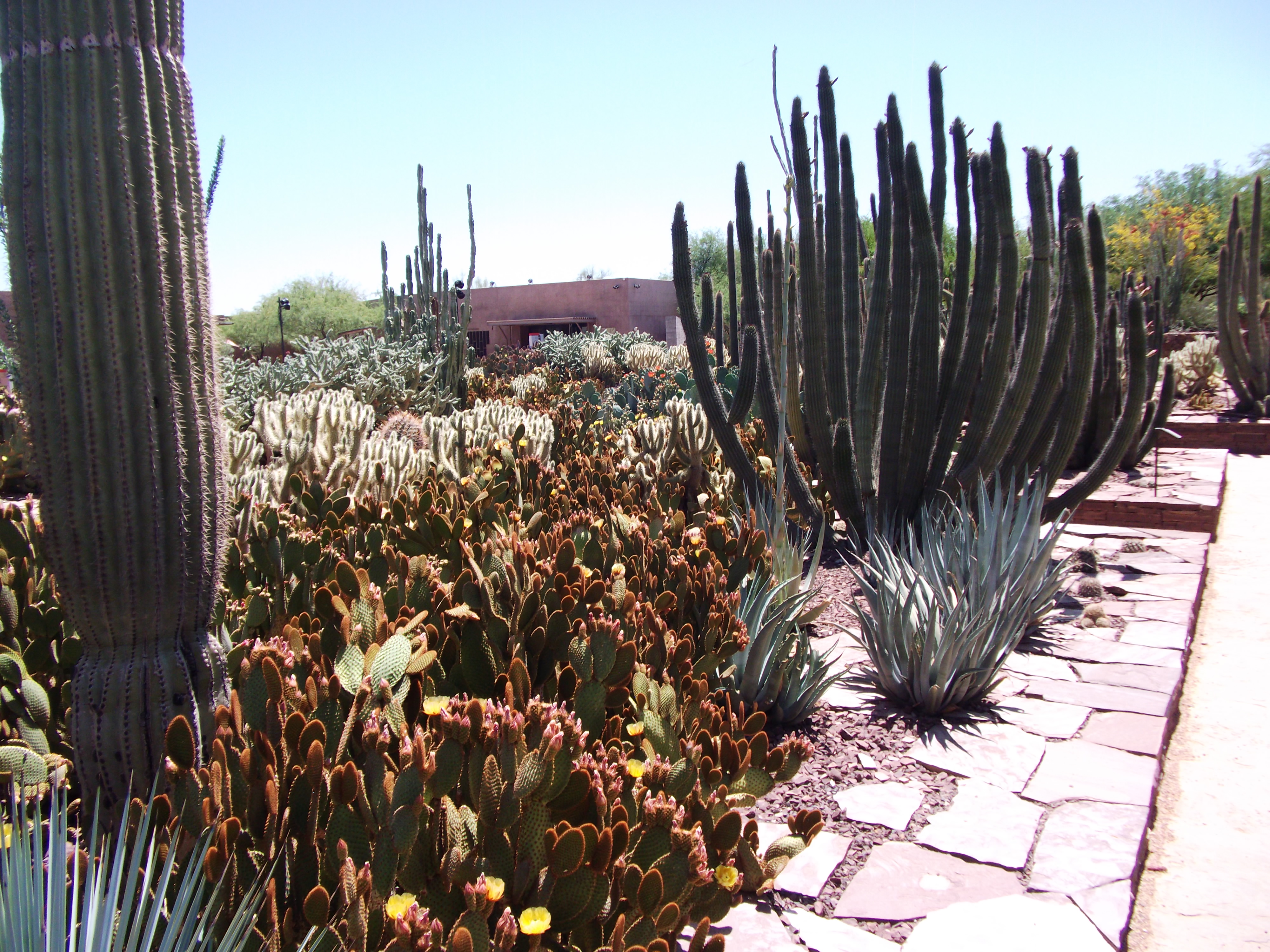 2012_04_28_phxa_145.jpg (large)