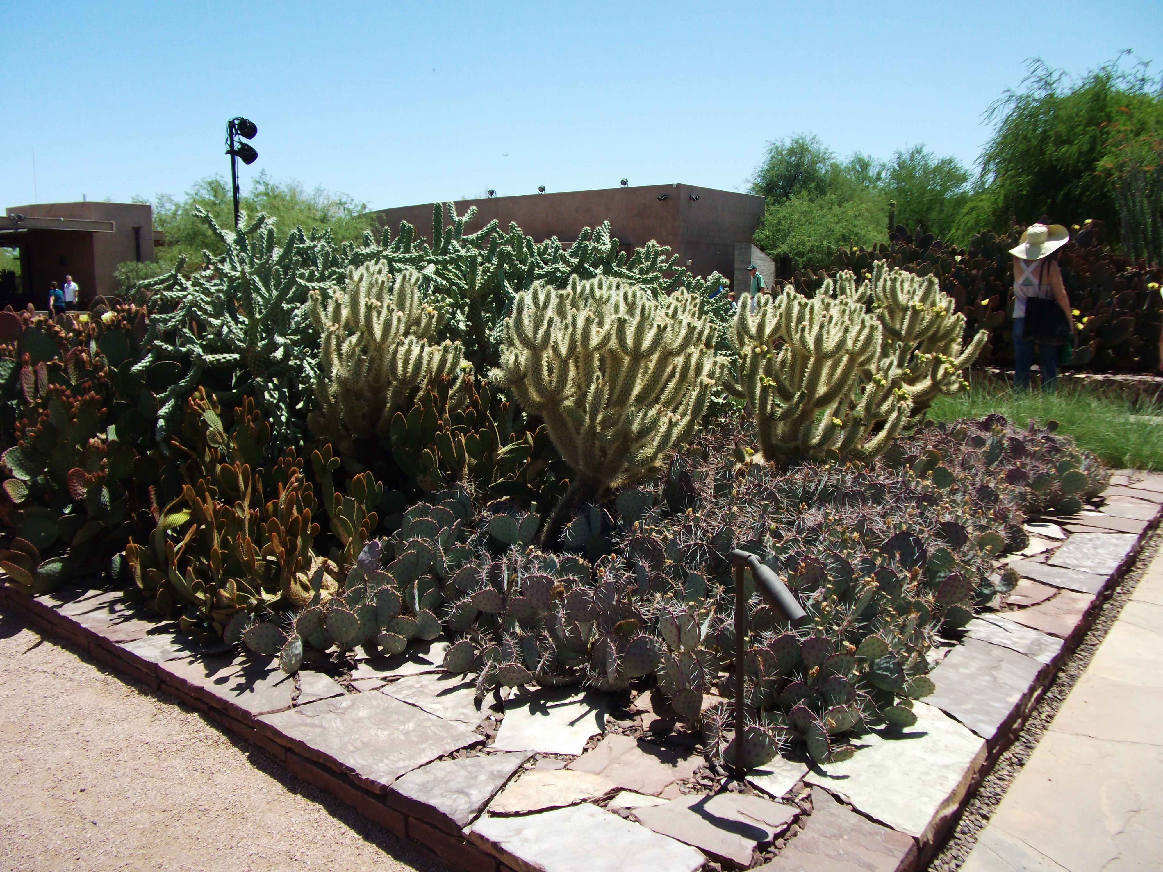 2012_04_28_phxa_148.jpg (large)