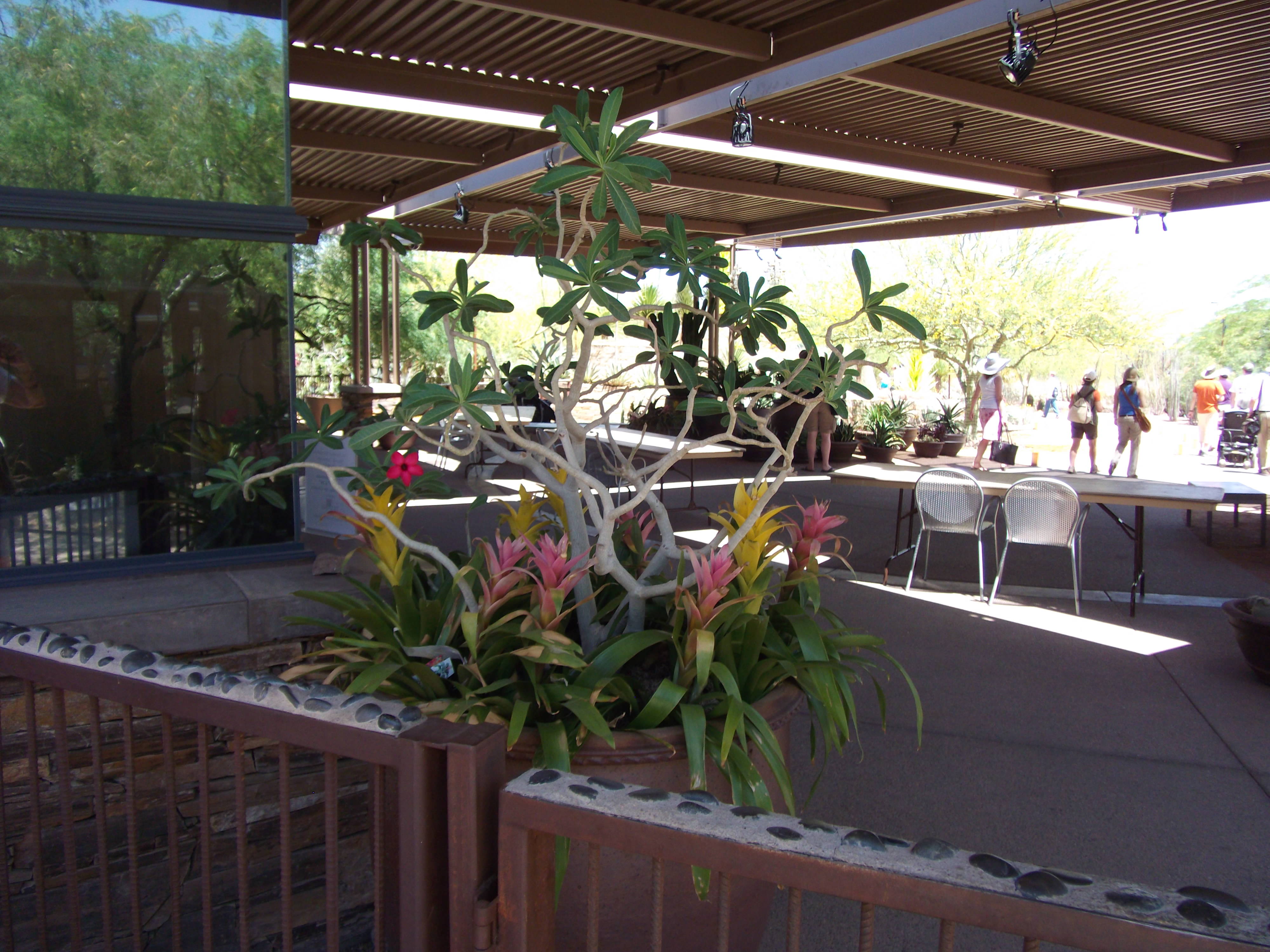 Botanical Gardens Flower Arrangement