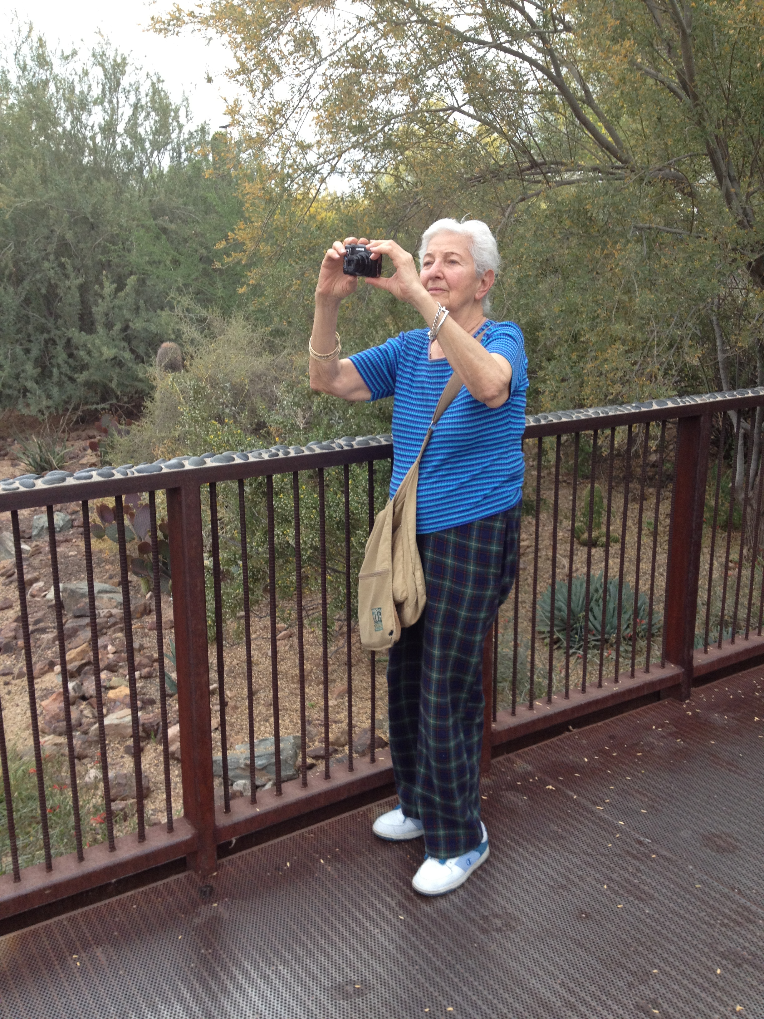 img_0160.jpg (large)