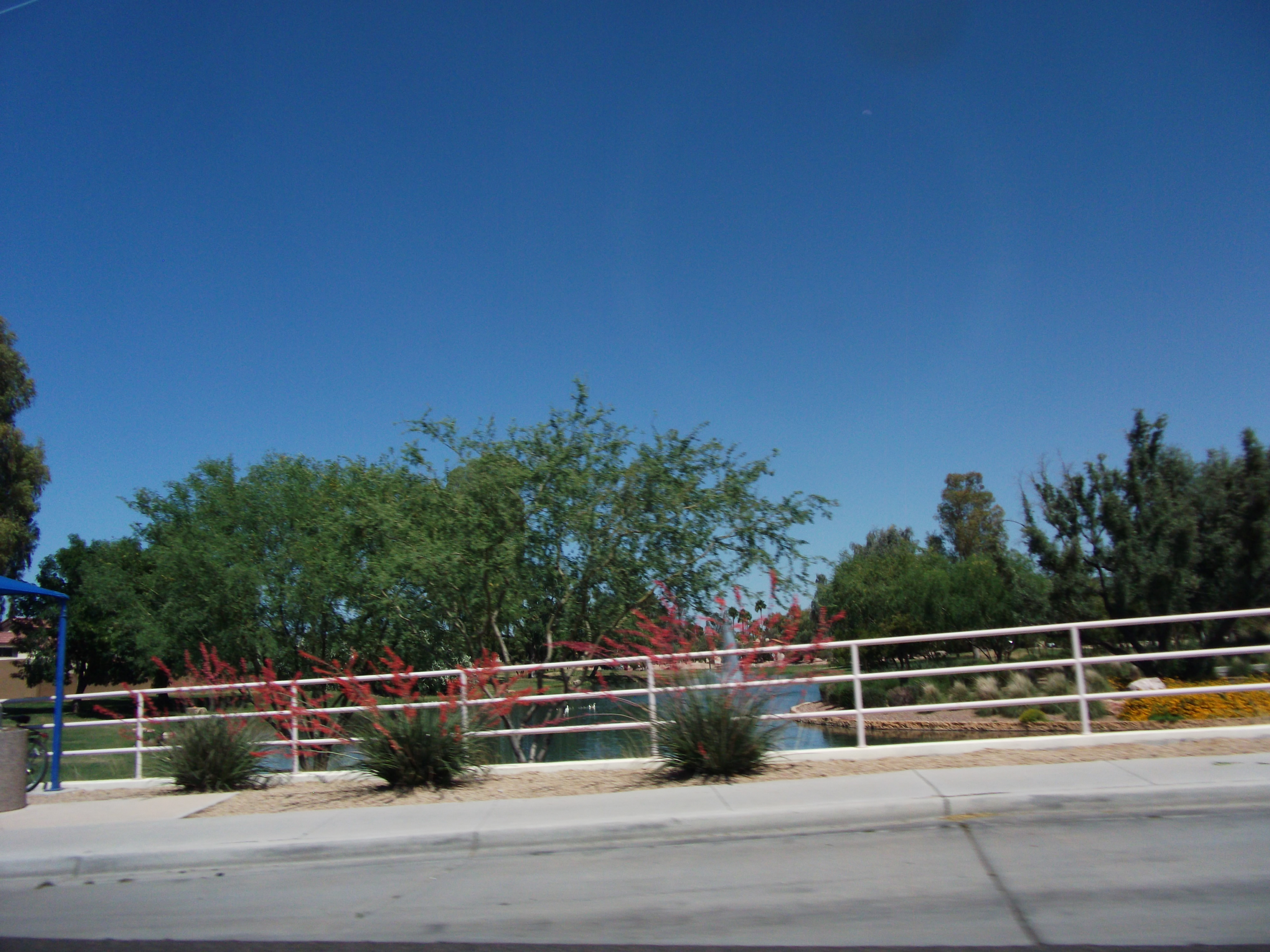 2012_04_28_c_scottsdale_0012.jpg (large)