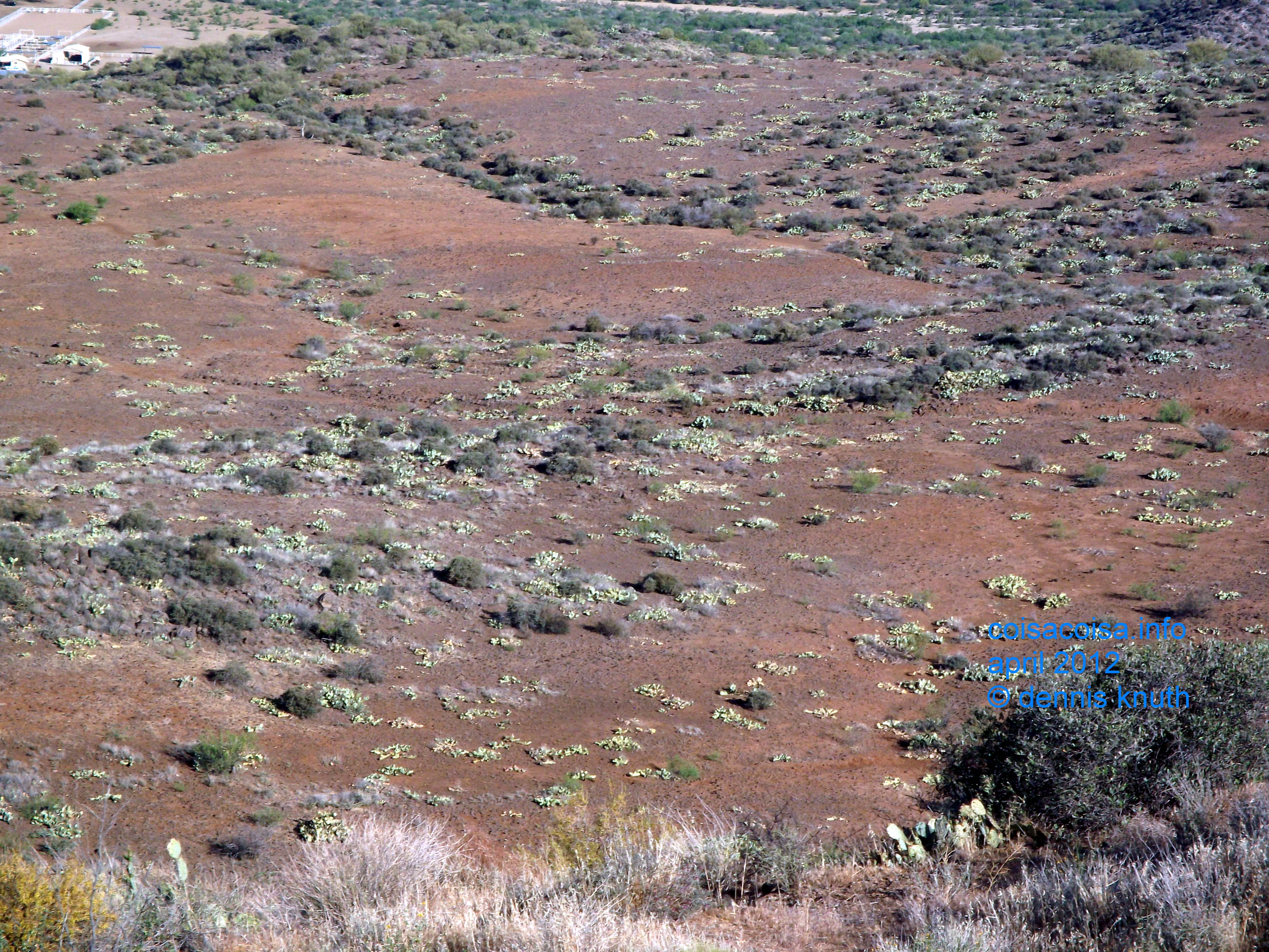 Colors on the desert floor of Black Canyon Arizona