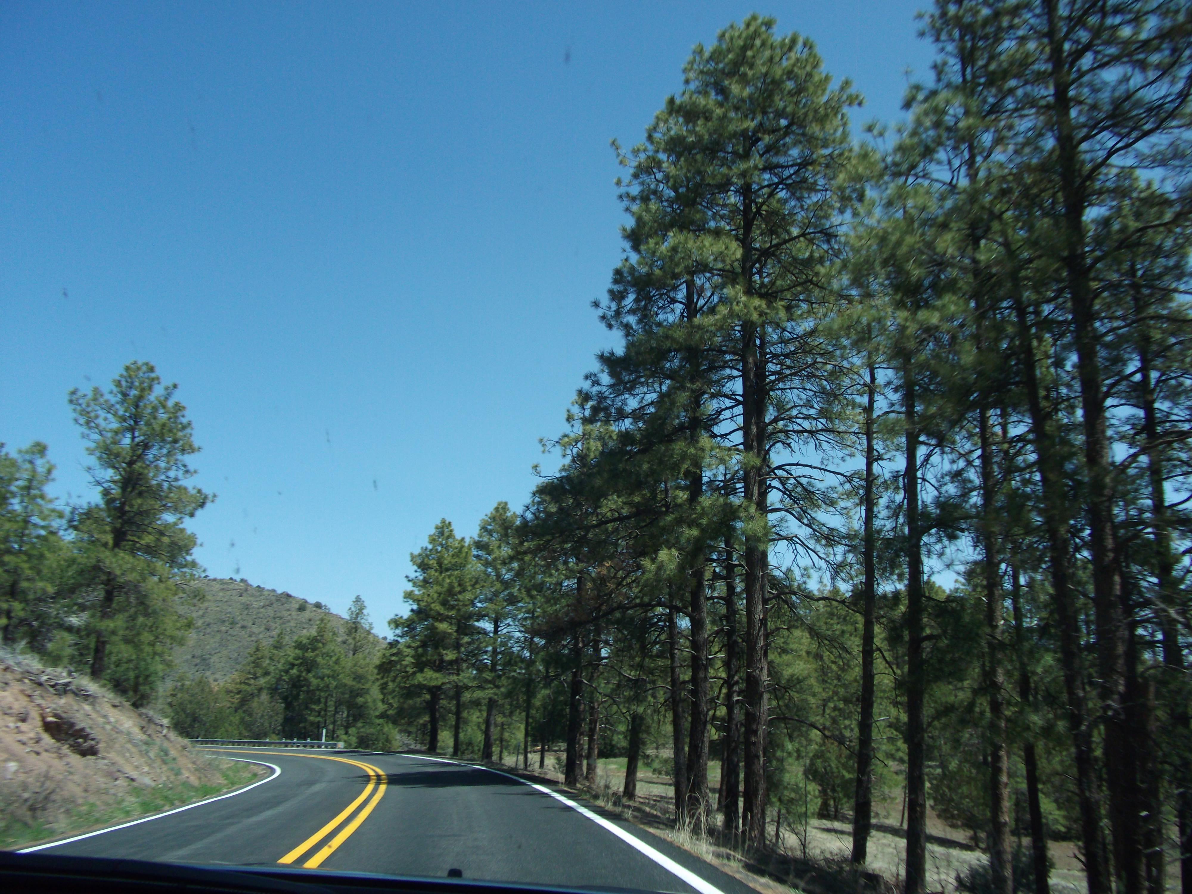 2012_04_29_jerome_sk_0013.jpg (large)