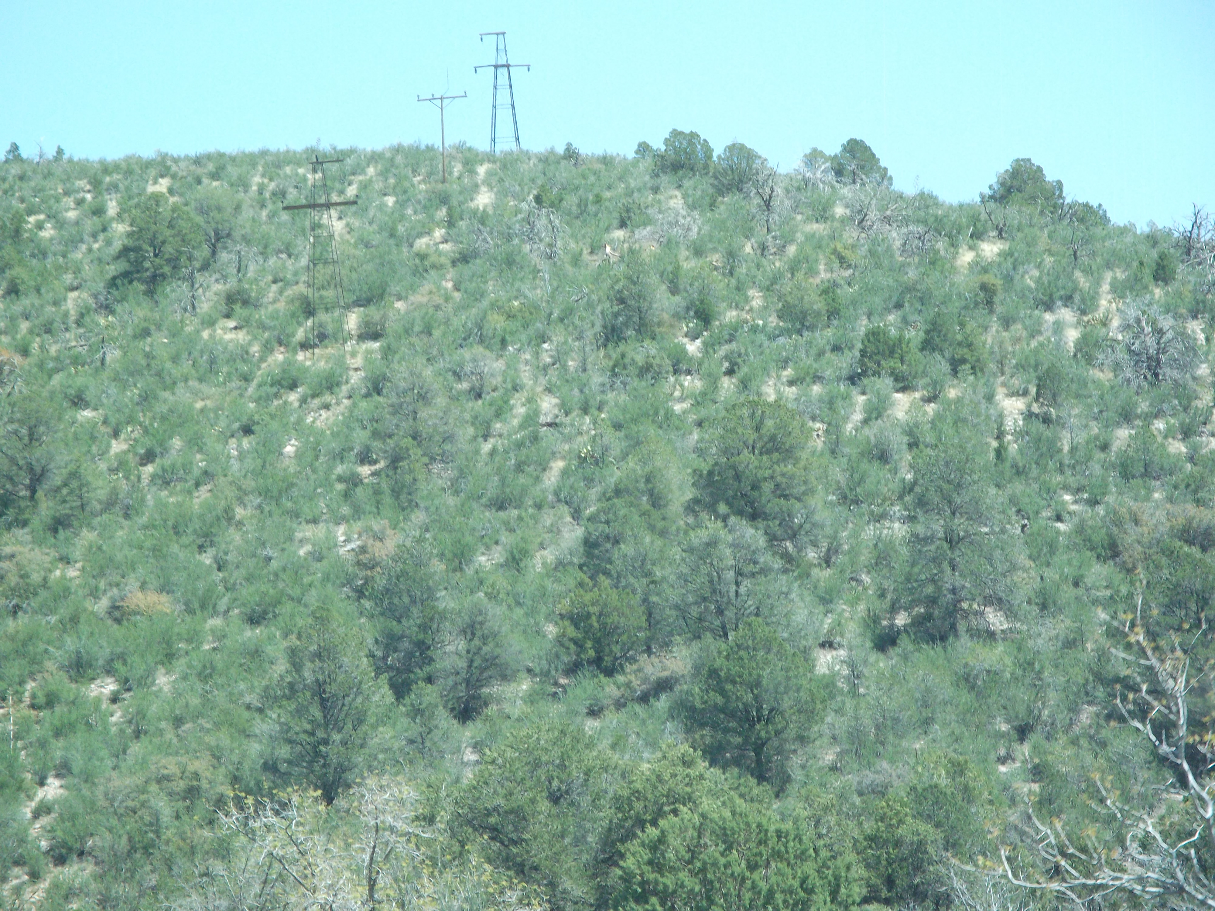 2012_04_29_jerome_sk_0017.jpg (large)