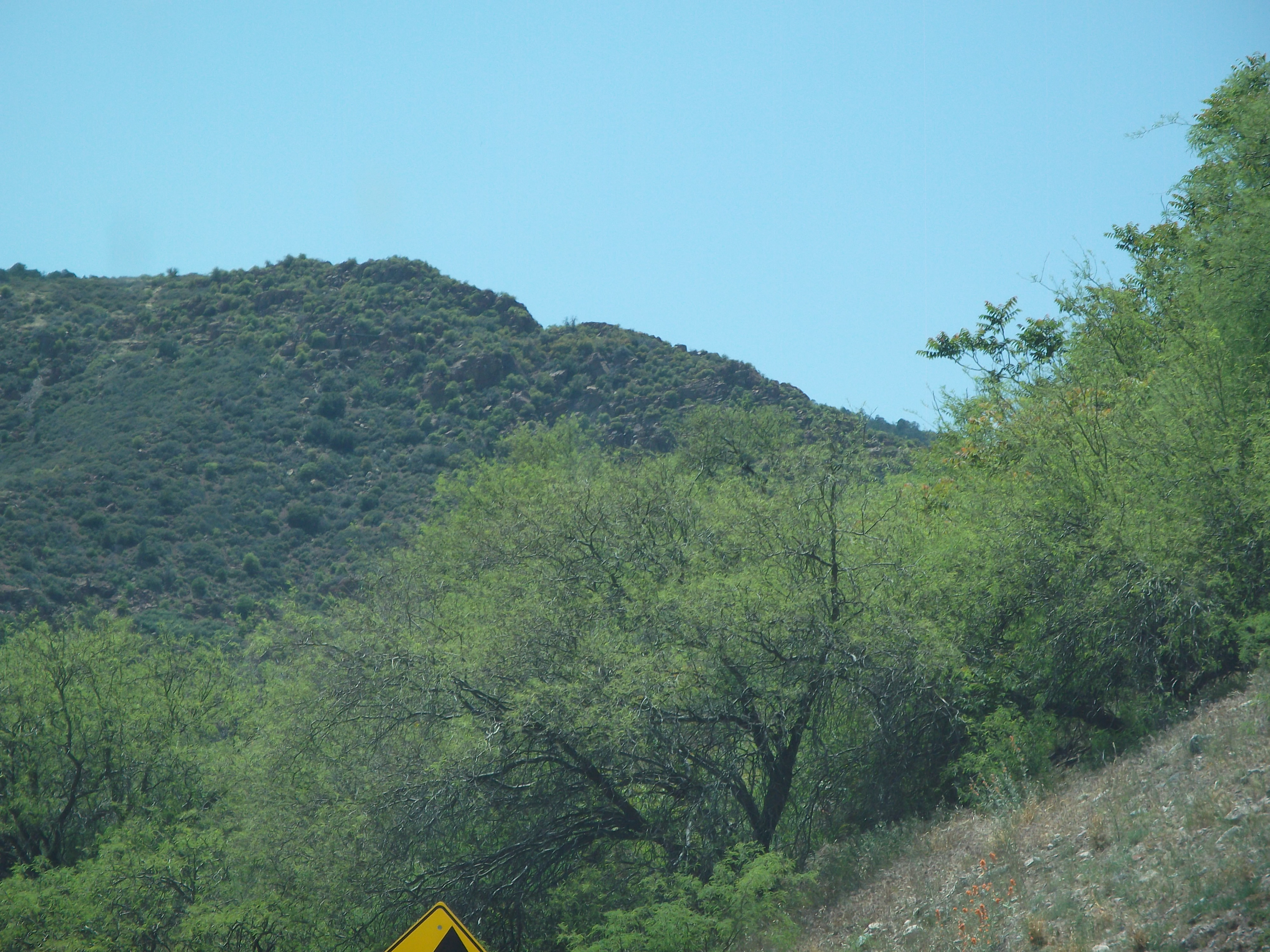 2012_04_29_jerome_sk_0070.jpg (large)