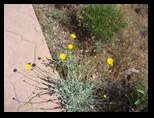 2012_04_30_sedona_sk_0040.jpg