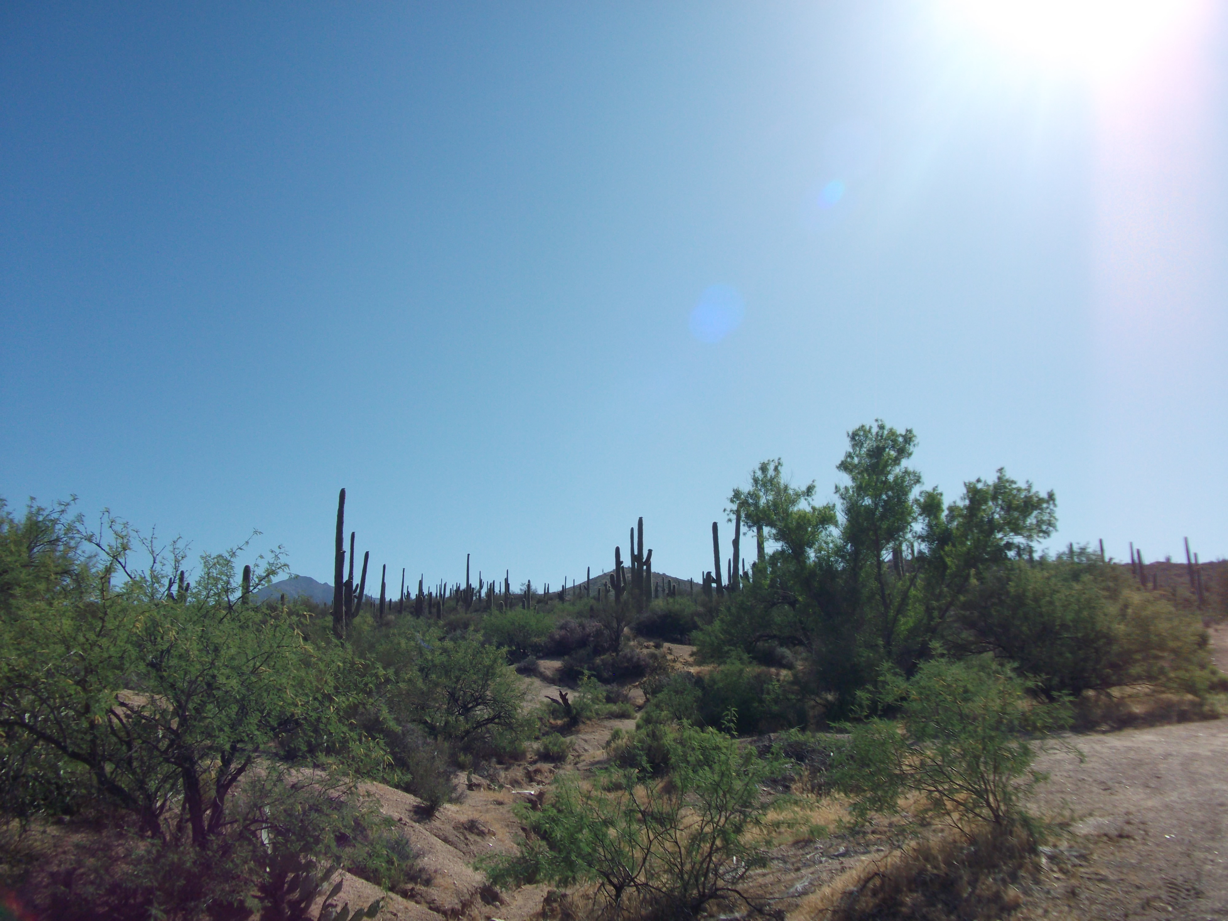 2012_04_30_a_payson_0006.jpg (large)