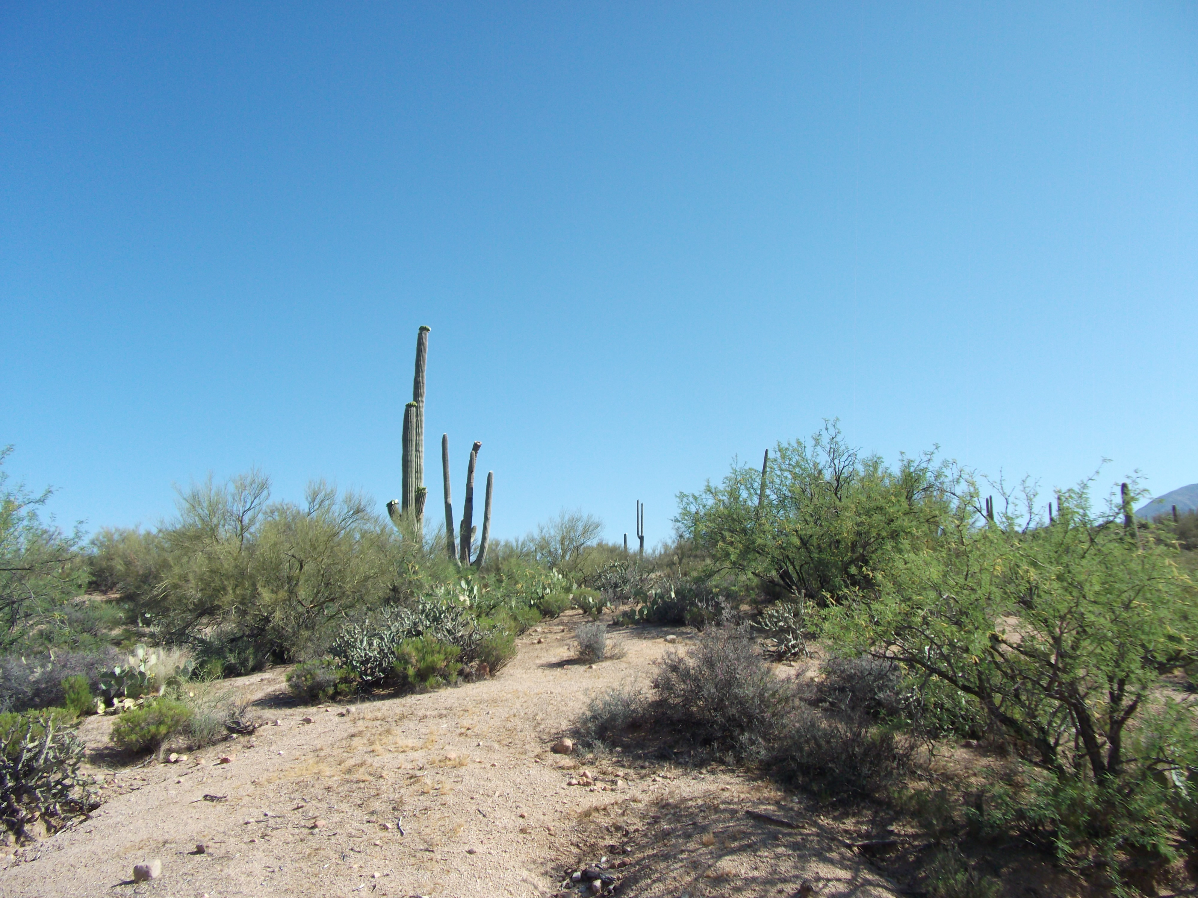 2012_04_30_a_payson_0007.jpg (large)