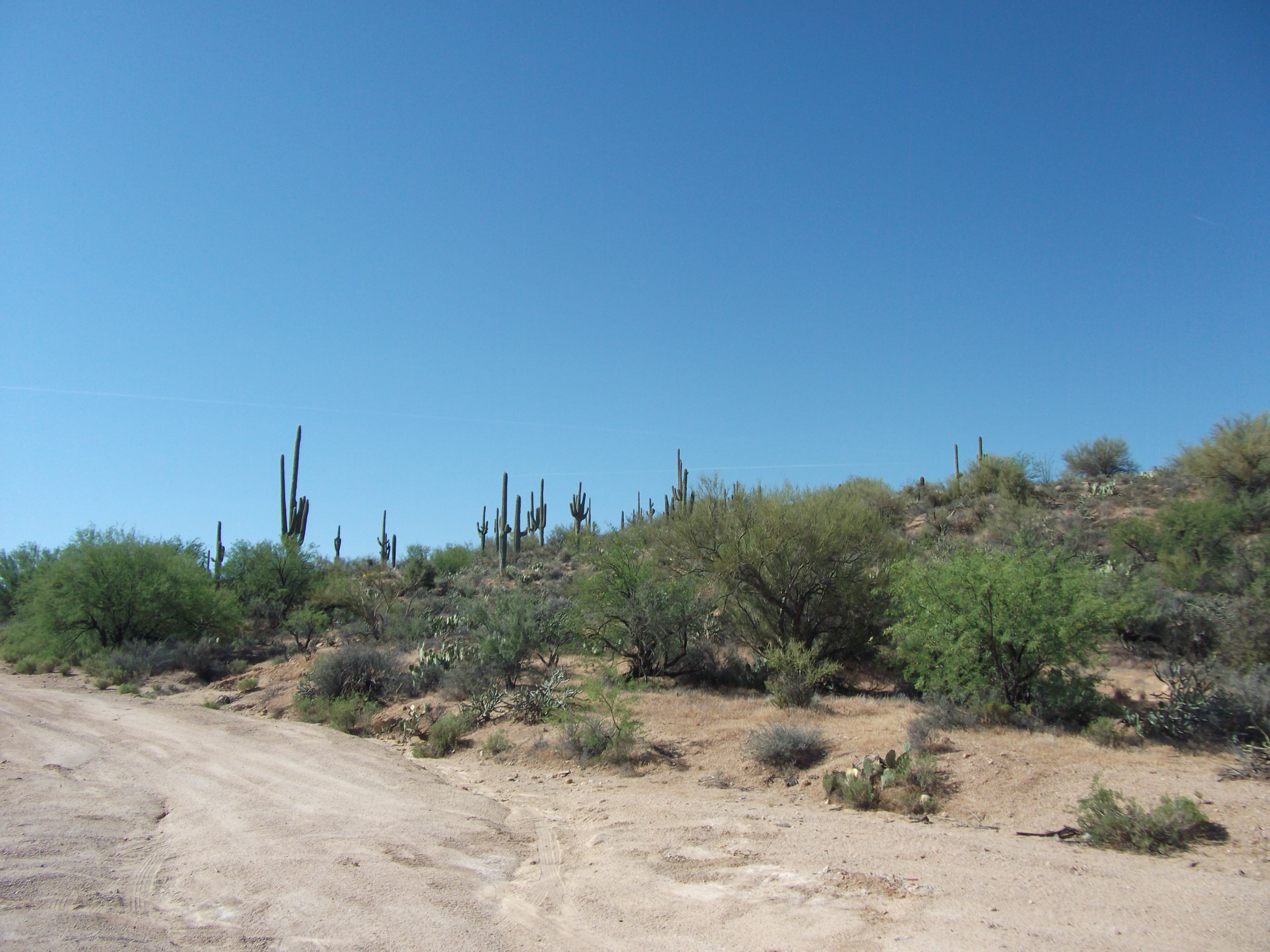 2012_04_30_a_payson_0008.jpg (large)