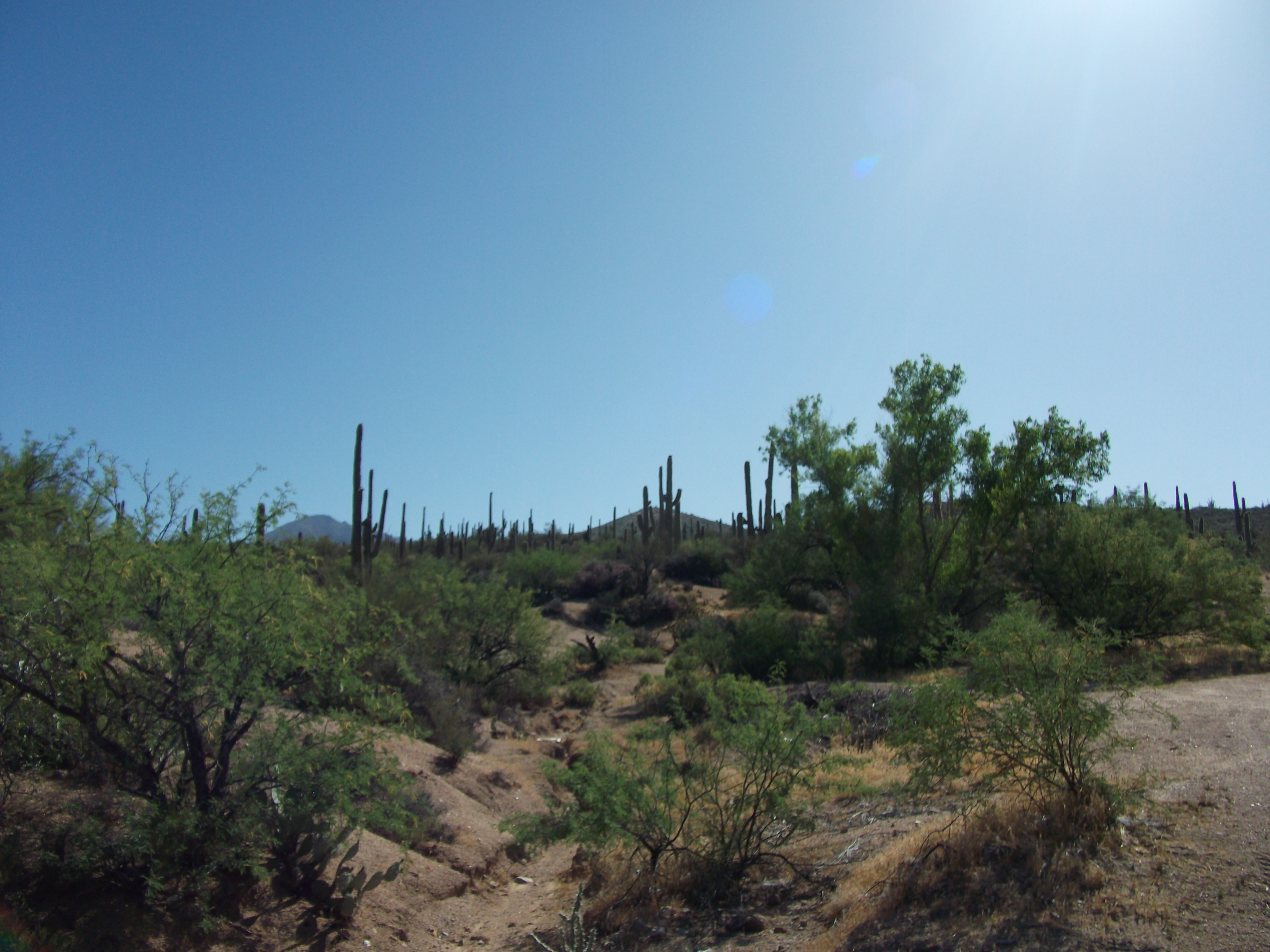 2012_04_30_a_payson_0009.jpg (large)