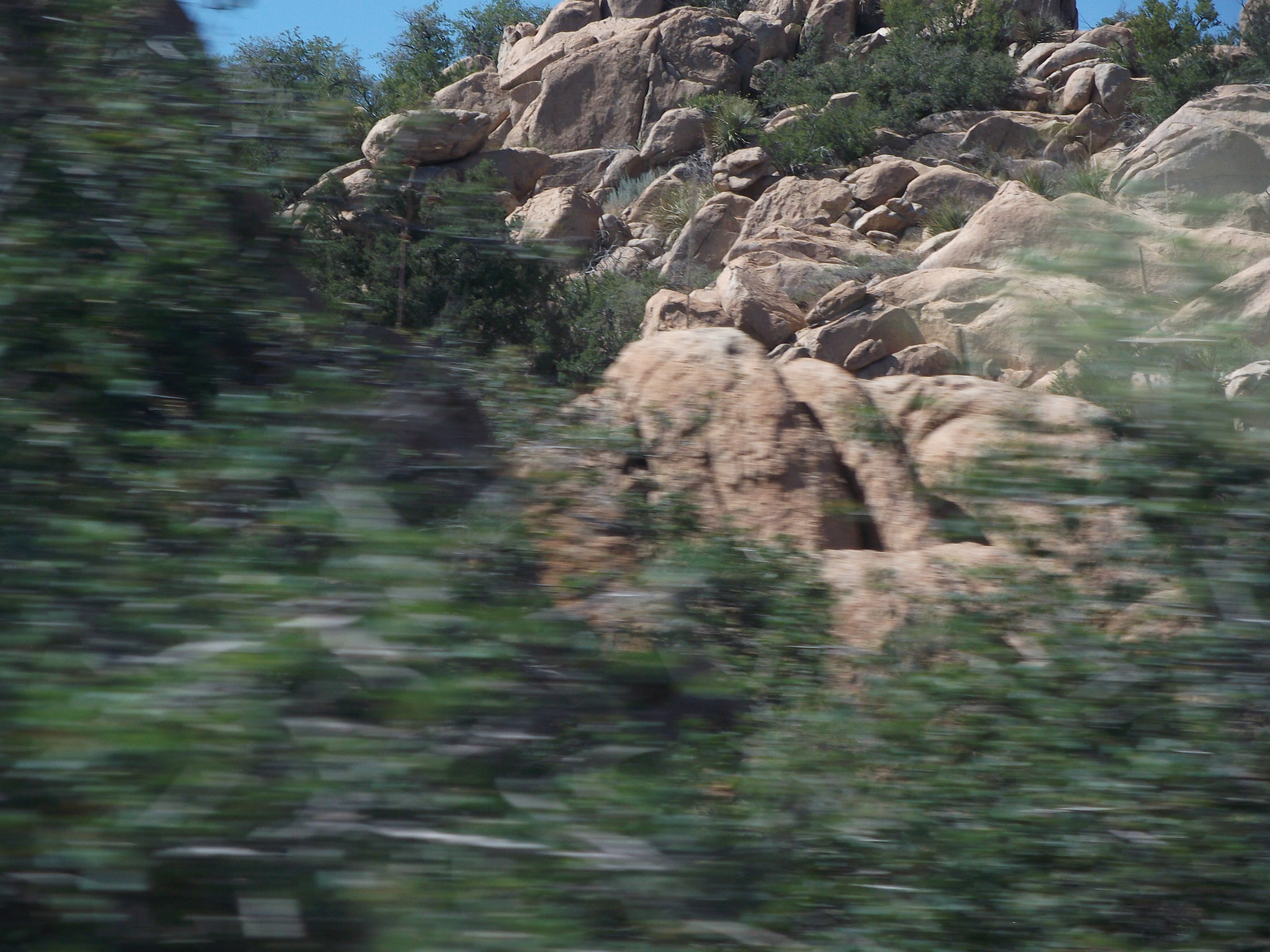 2012_05_01_globe_miami_sk_0021.jpg (large)