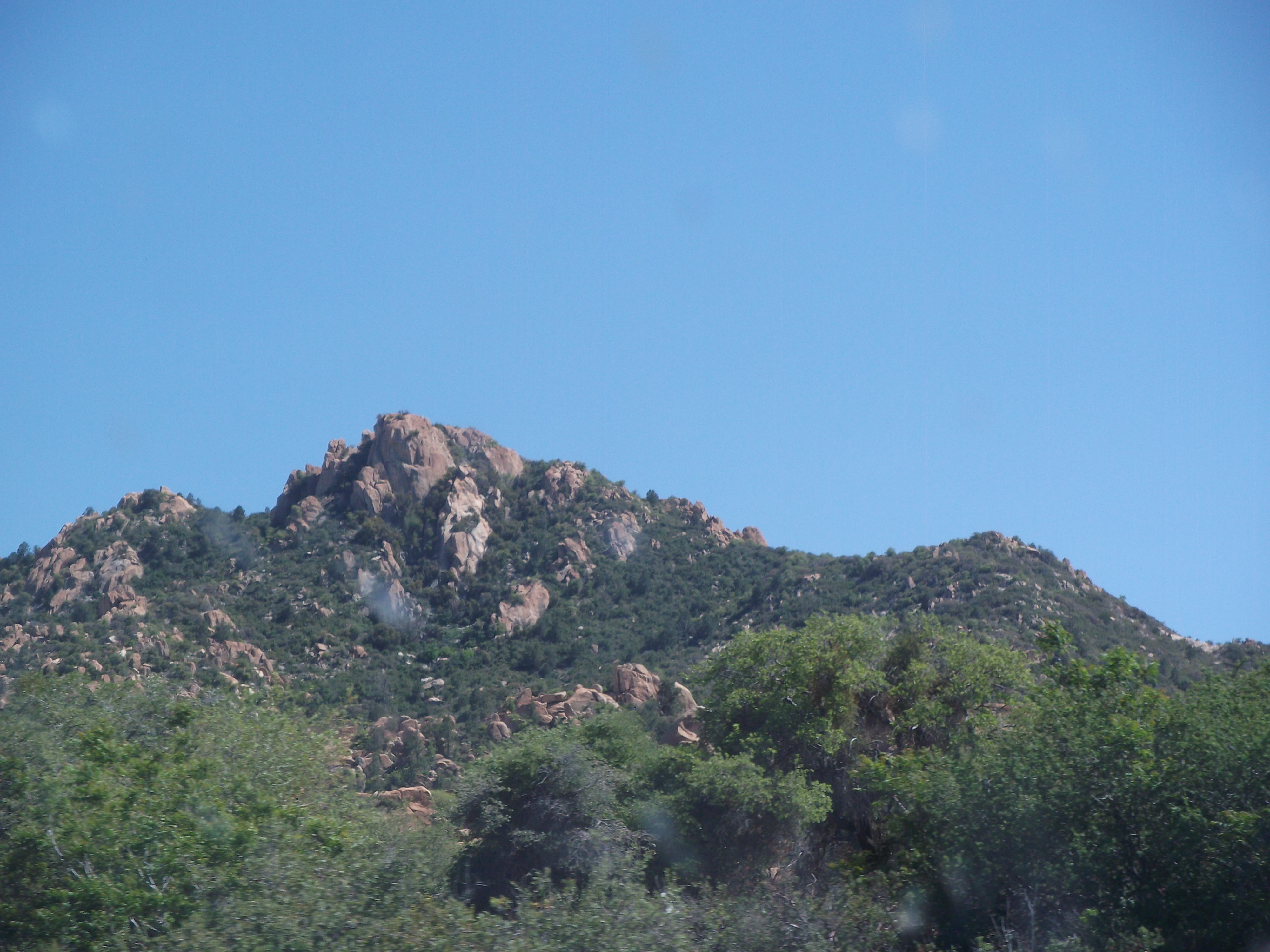 2012_05_01_globe_miami_sk_0022.jpg (large)