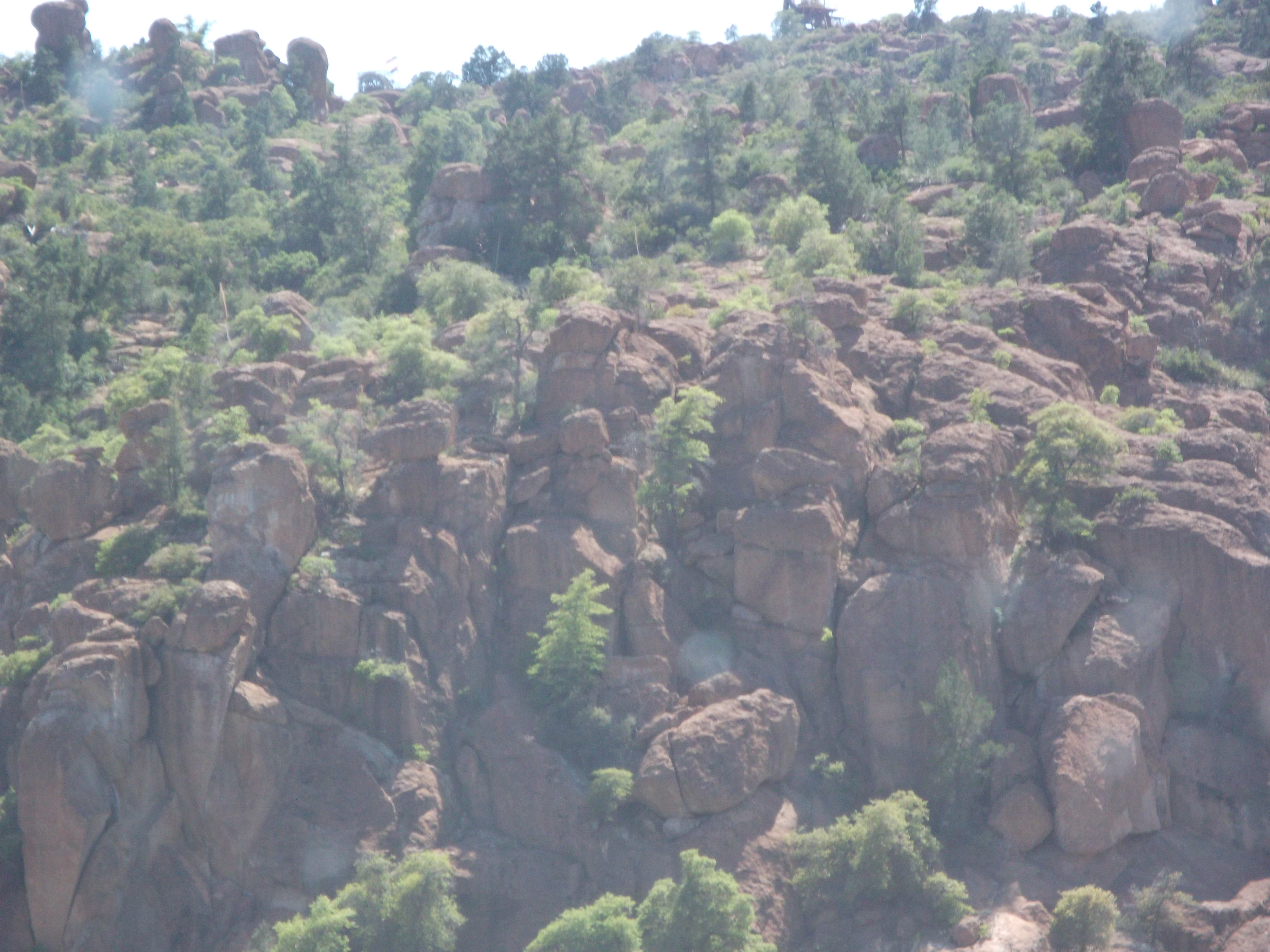 Trees grow n the rock creveces