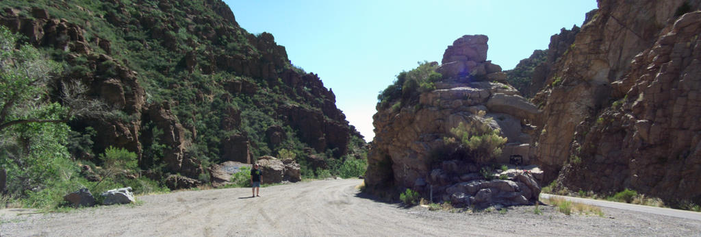 Dennis at the Wayside panorama