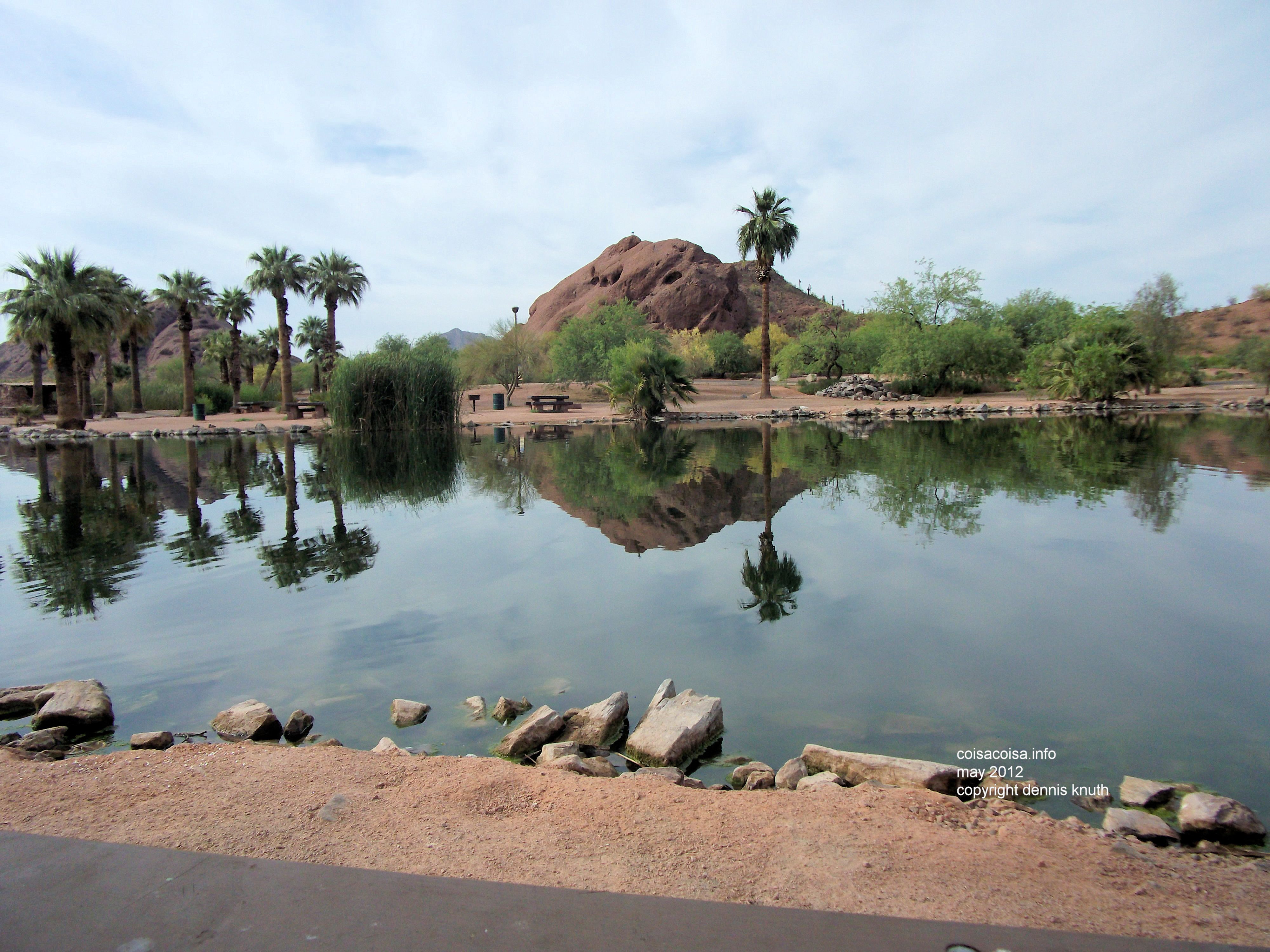 Papago Park Pond Landscape