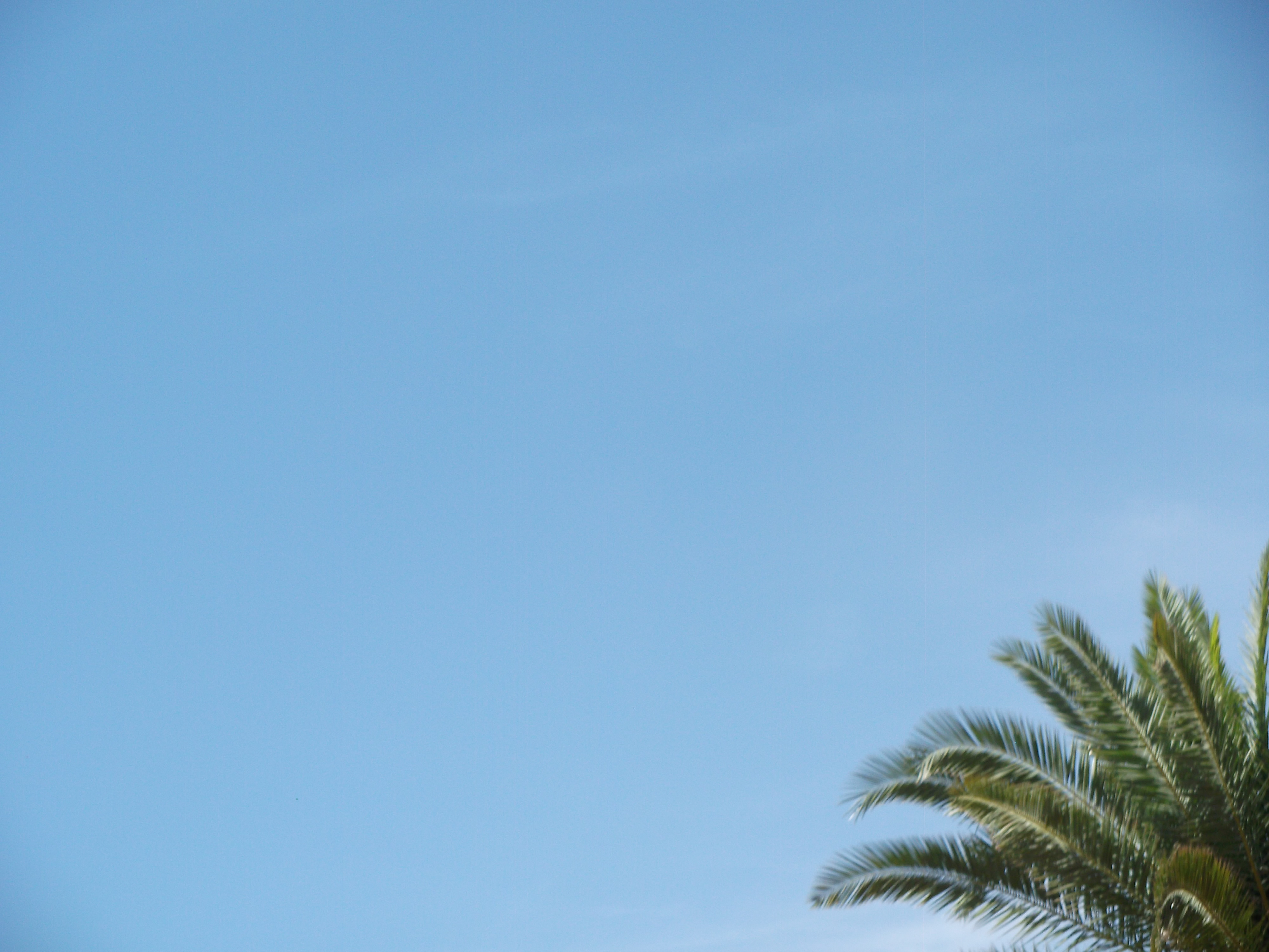 Phoenix Arizona Vivid Blue Sky