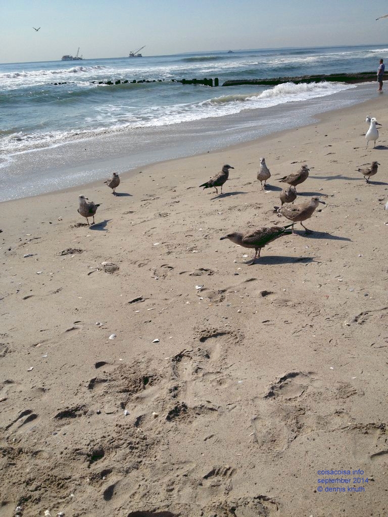 2014_09_18_beach_k_iphone_0030.jpg (large)