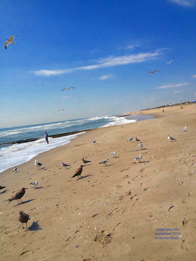 2014_09_18_beach_k_iphone_0031.jpg (large)