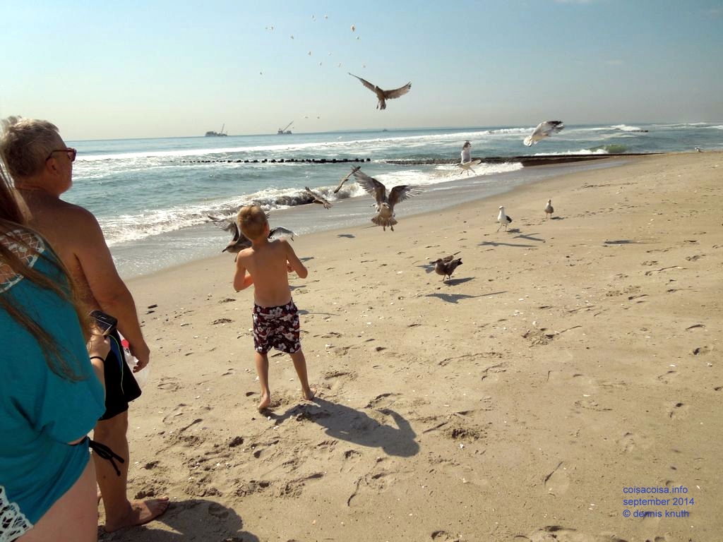 Dennis Knuth and Jared are scared of the seagulls