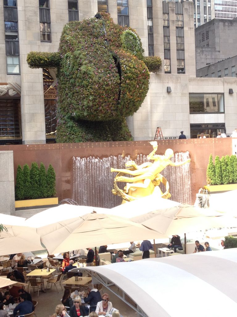 2014_09_19_12_56_21___0070.jpg (large)