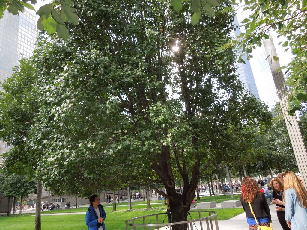 09_20_museum_ferry_0027.jpg (large)