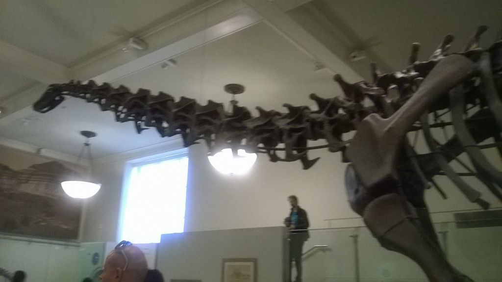 09_20_museum_ferry_0050.jpg (large)