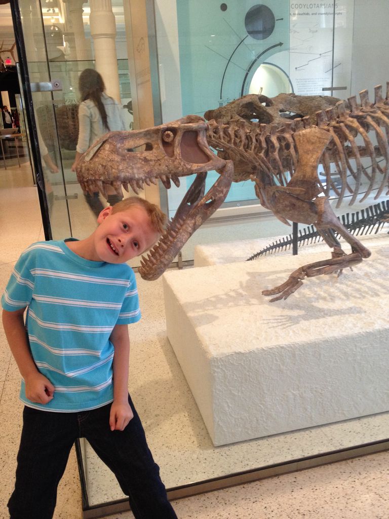 Jared eaten by a dinosaur relic in New York