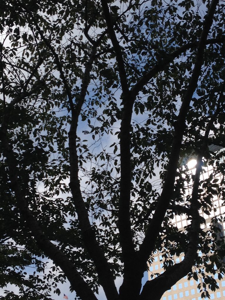 2014_09_20_k_iphone_trade_101.jpg (large)