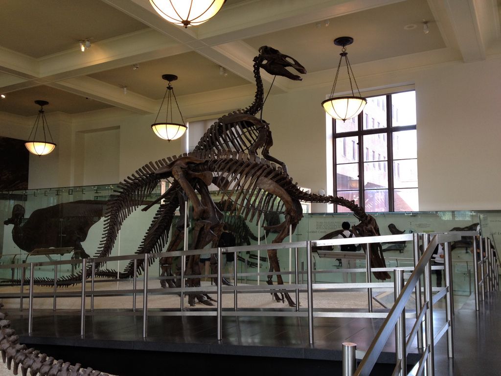 2014_09_20_s_iphone_museum_014.jpg (large)