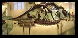 2014_09_20_k_iphone_museum_094.jpg