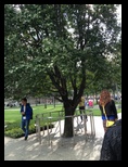 2014_09_20_k_iphone_trade_098.jpg