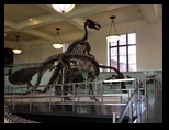 2014_09_20_s_iphone_museum_014.jpg