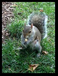 2014_09_20_s_iphone_trade_019.jpg