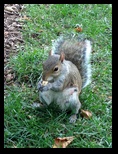 2014_09_20_s_iphone_trade_021.jpg