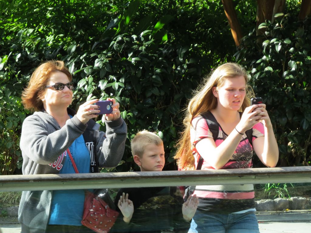 2014_09_22_central_park_0011.jpg (large)